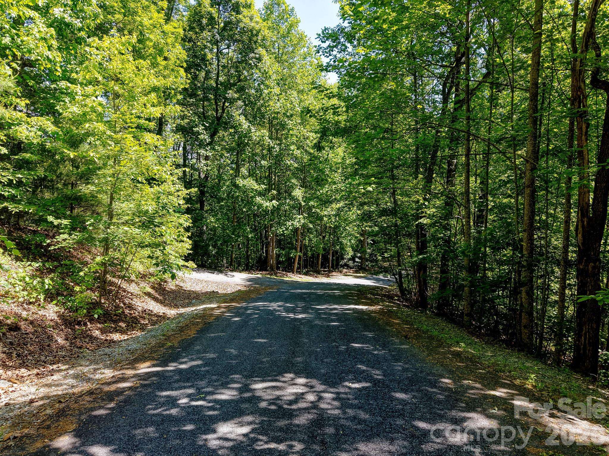 99999 Black Bear Ridge TRL, Zirconia, NC 28790