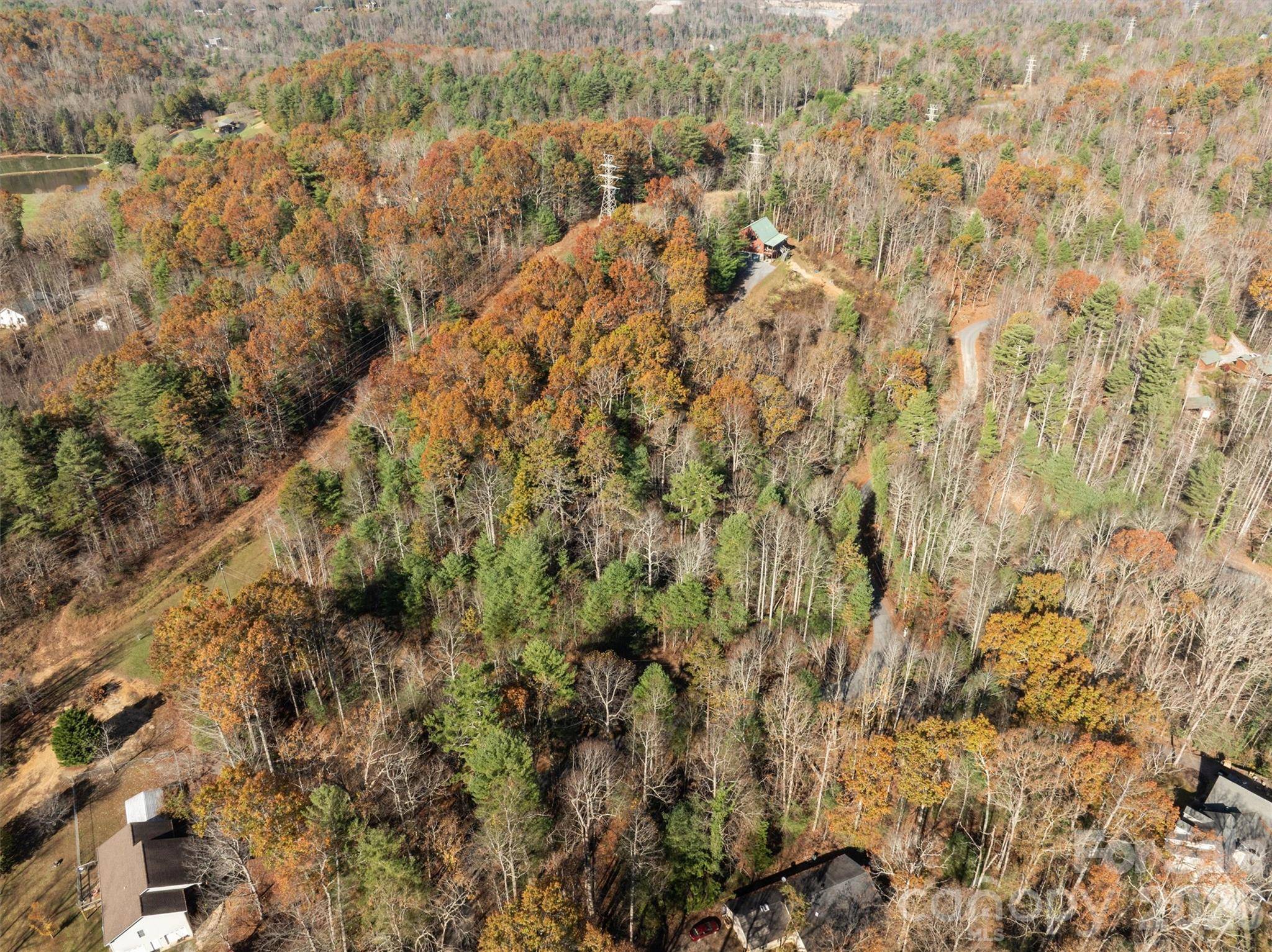 99999 Big Raven LN, Saluda, NC 28773
