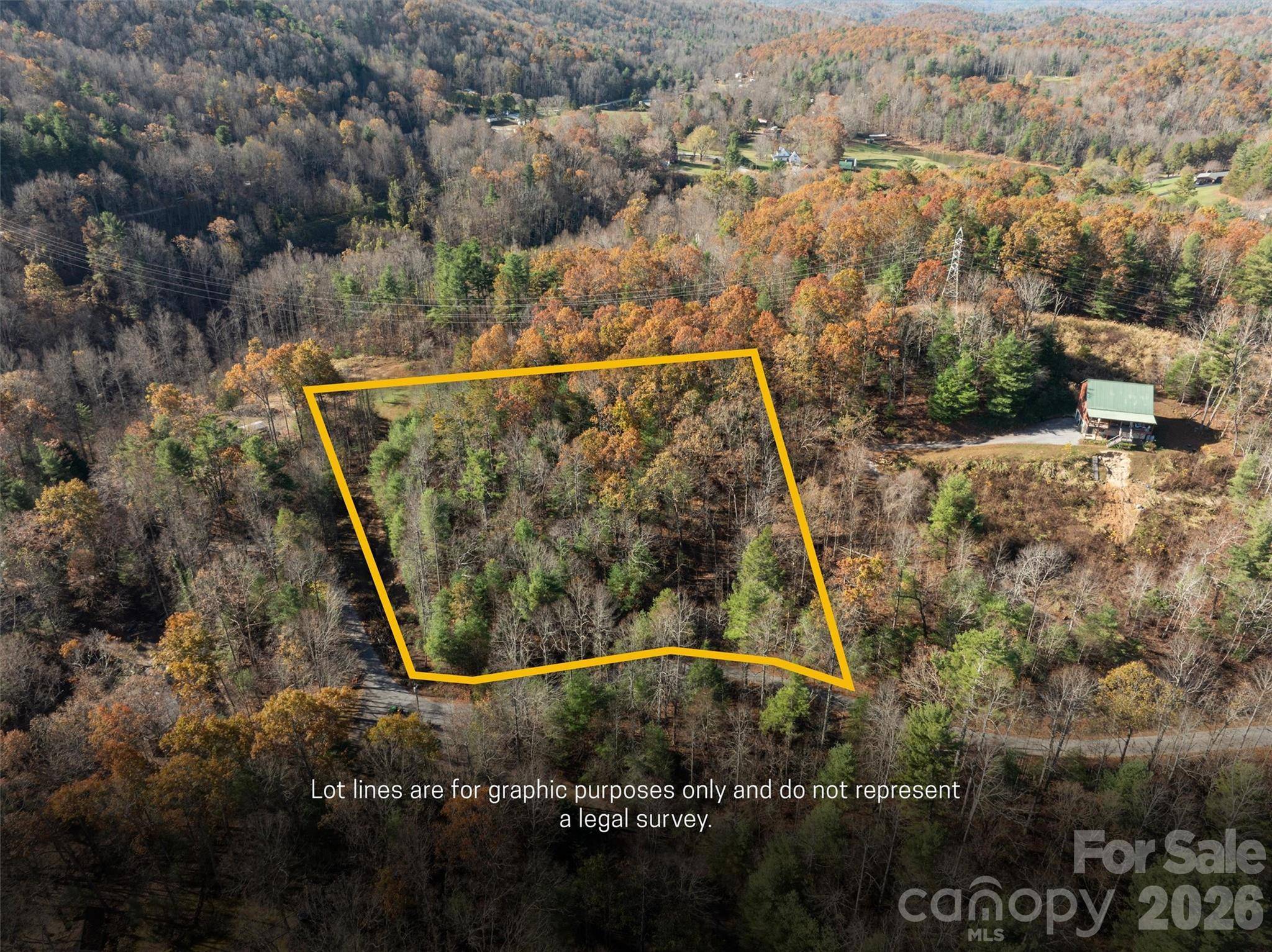 99999 Big Raven LN, Saluda, NC 28773