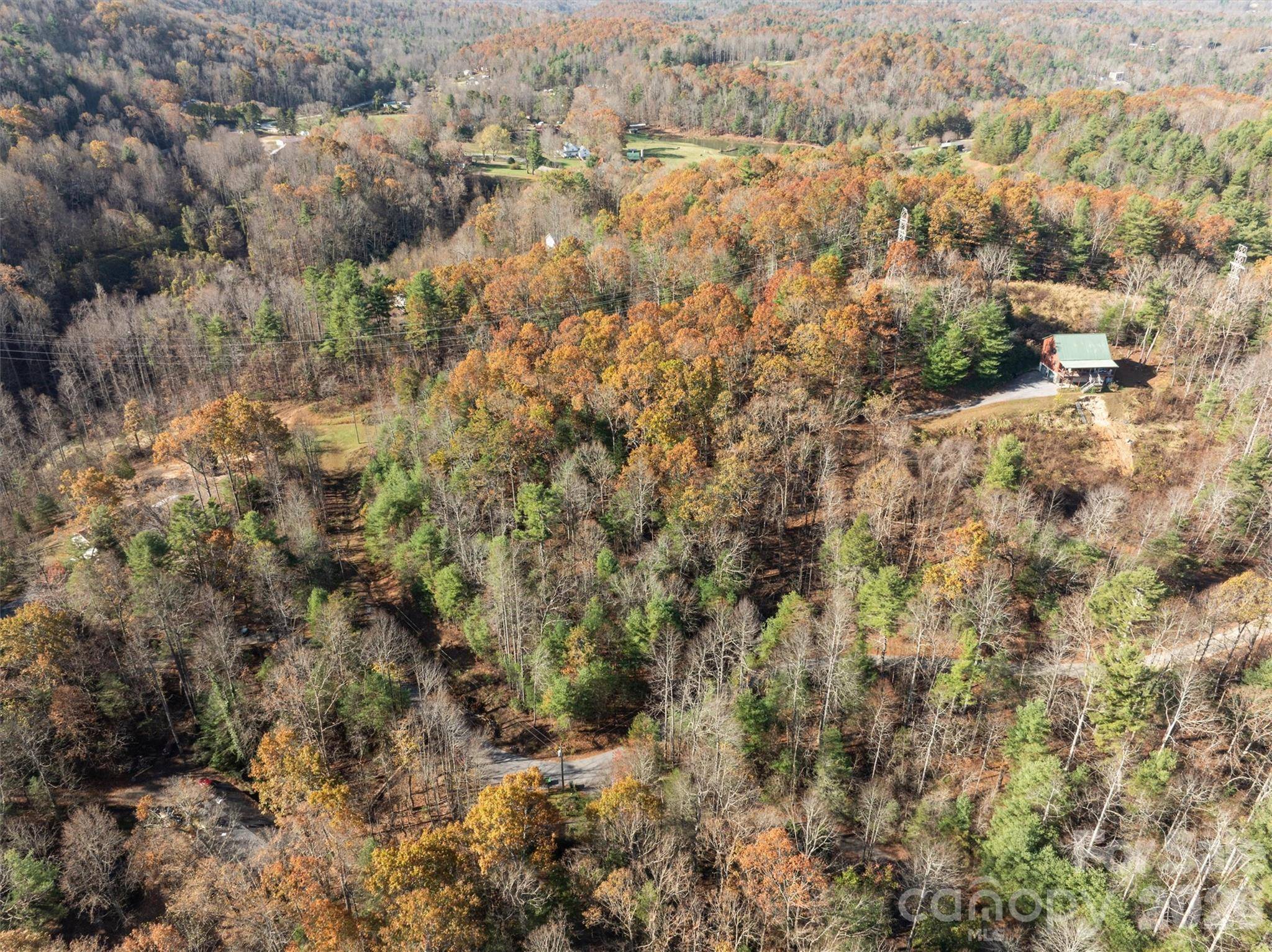 99999 Big Raven LN, Saluda, NC 28773