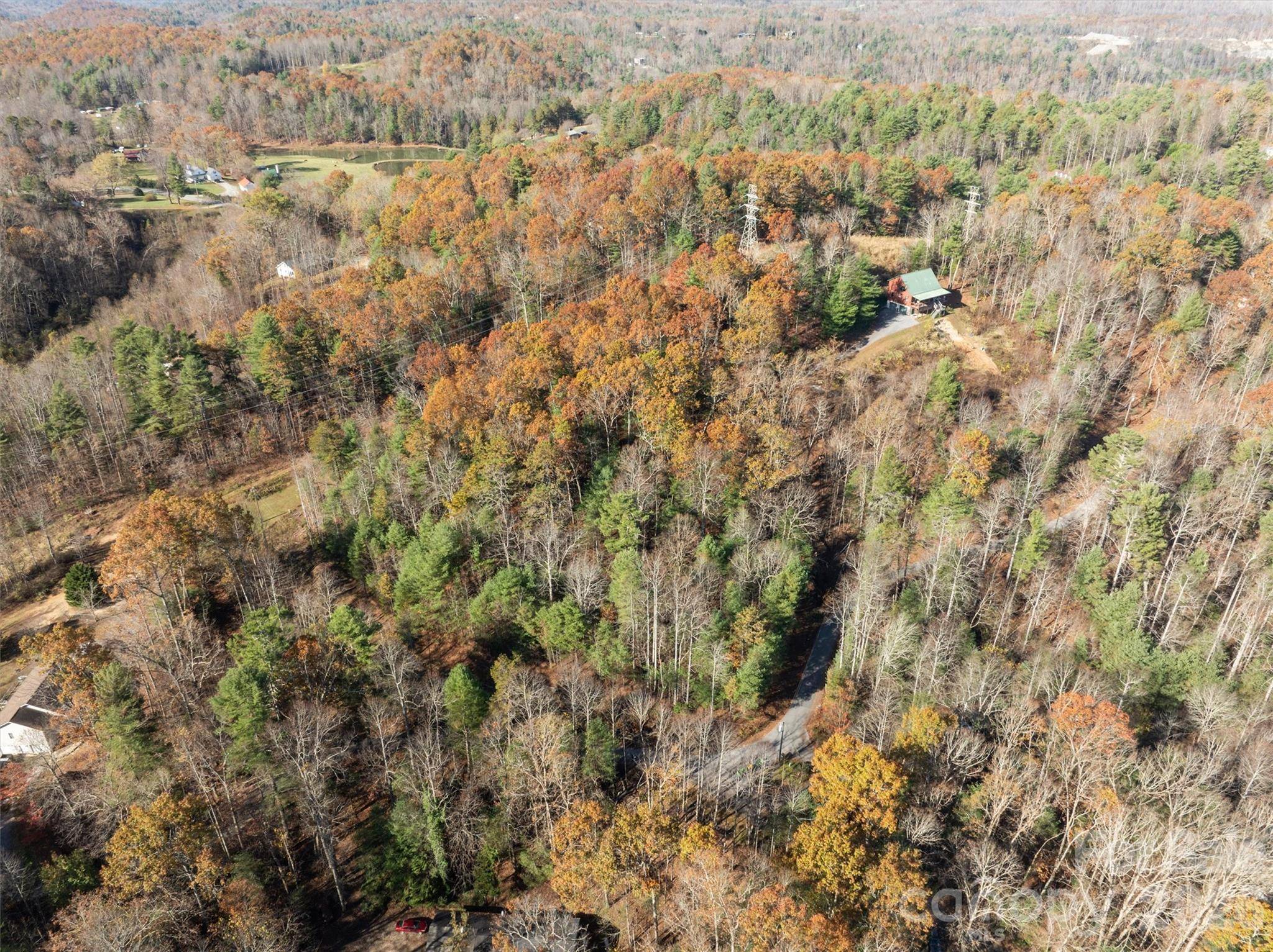 99999 Big Raven LN, Saluda, NC 28773