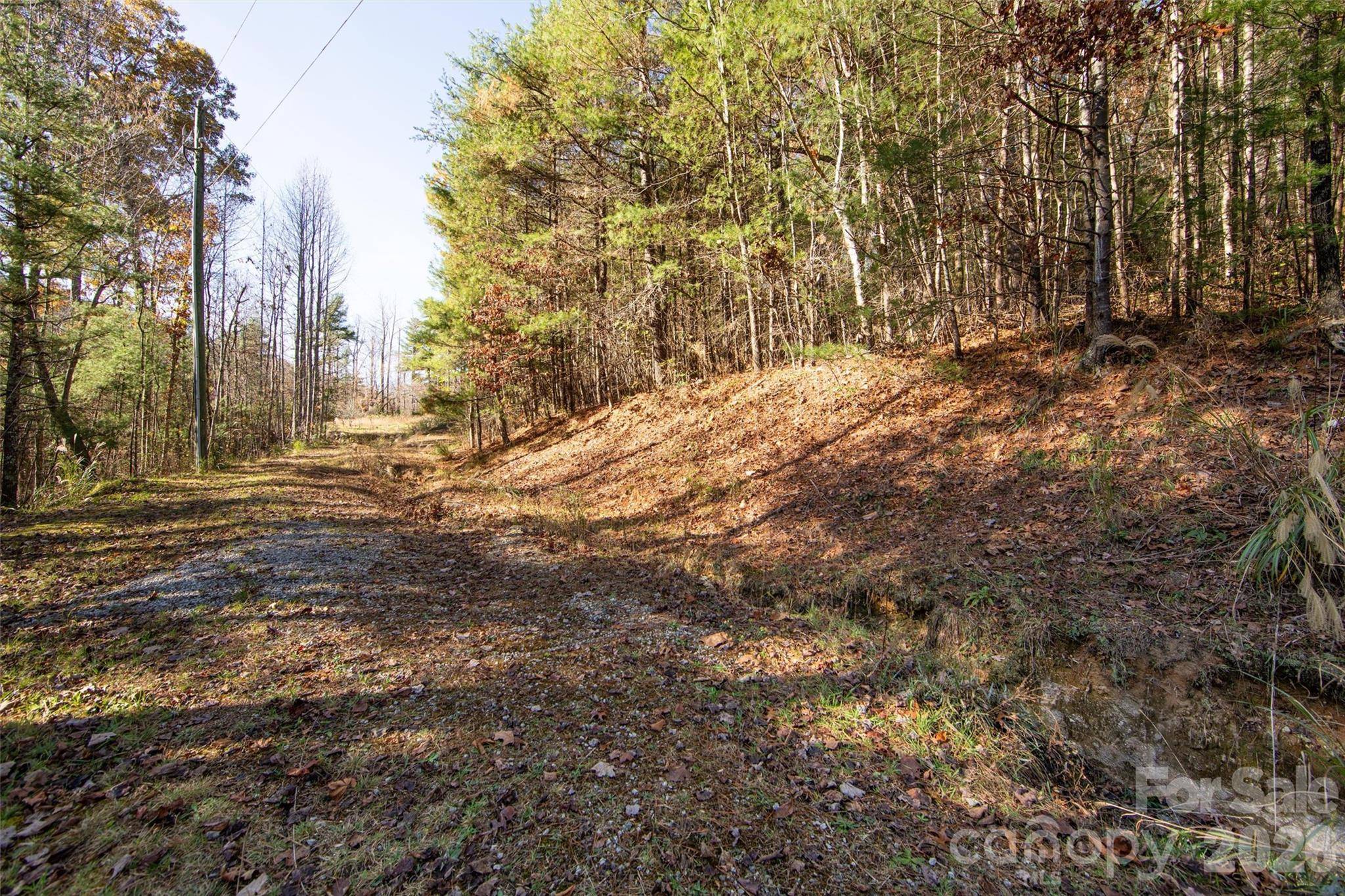 99999 Big Raven LN, Saluda, NC 28773