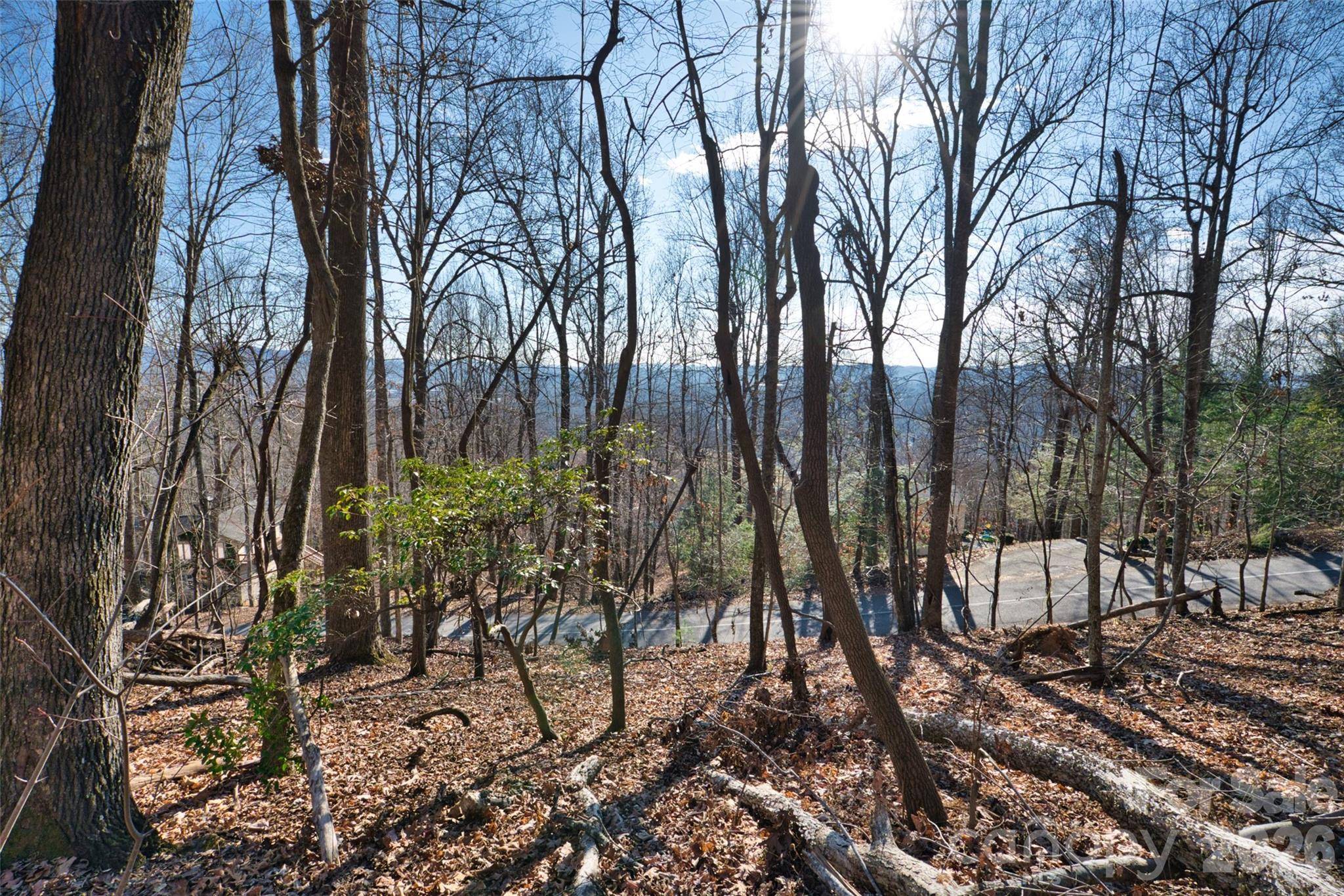 9999 Walnut DR #166, Mills River, NC 28759