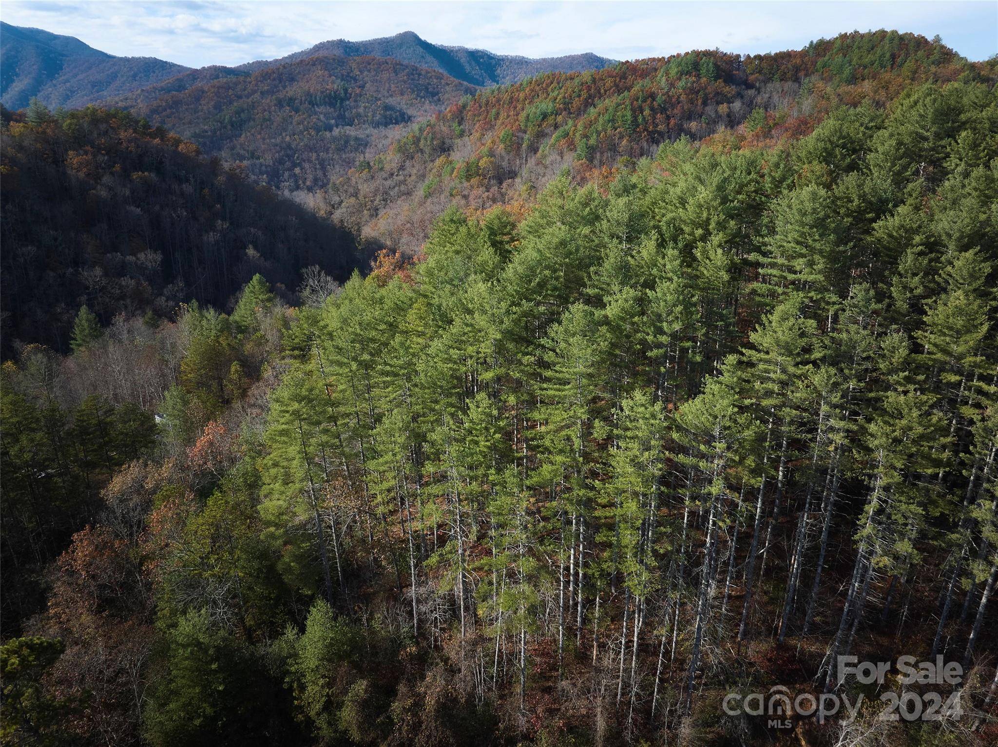 0 Sky Ridge DR, Bryson City, NC 28713