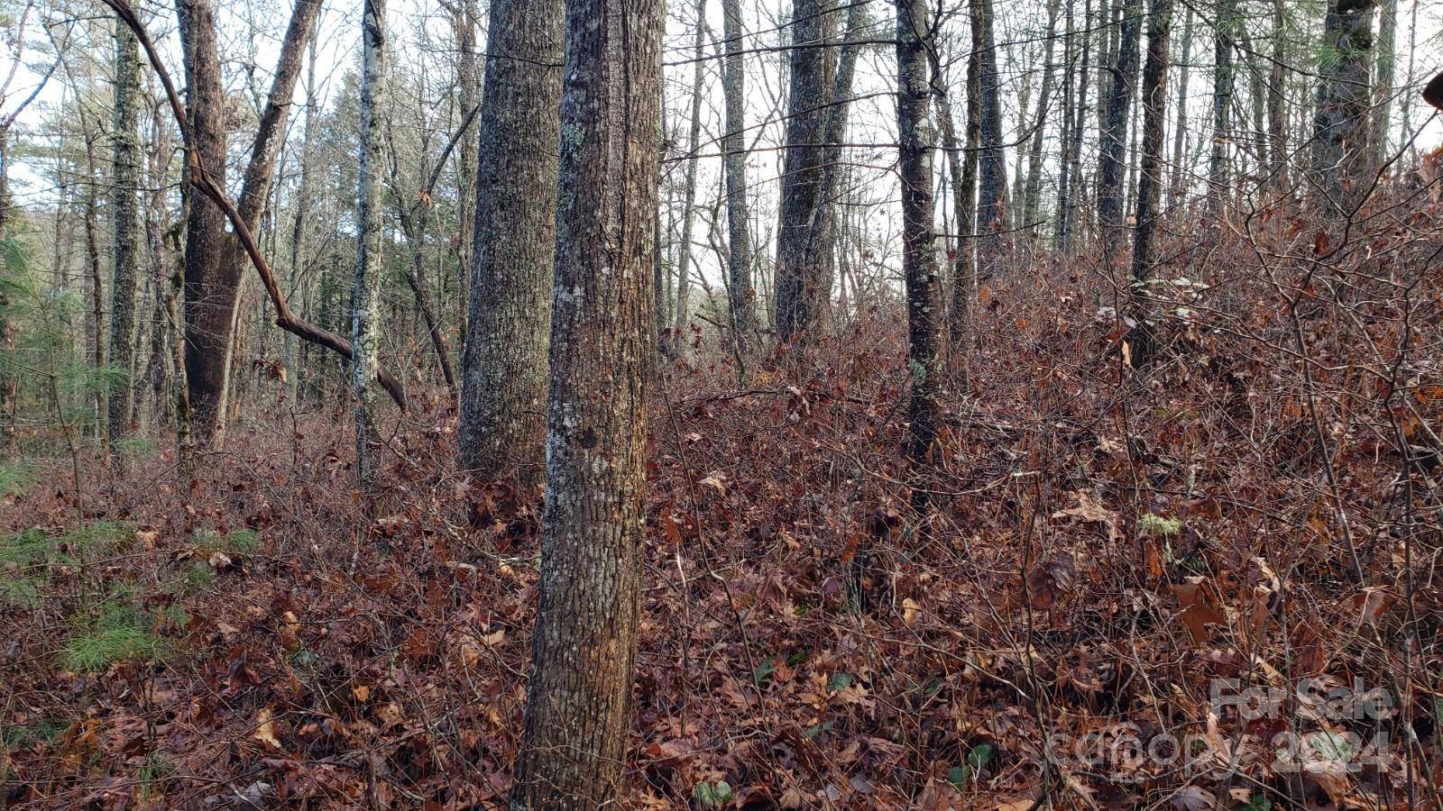 TBD Cedar LN, Brevard, NC 28712