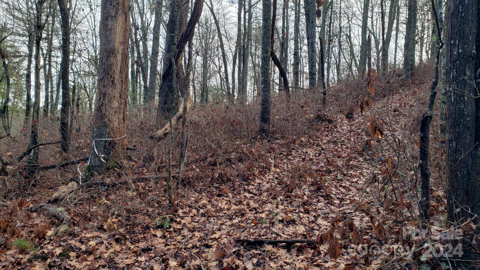 TBD Cedar LN, Brevard, NC 28712