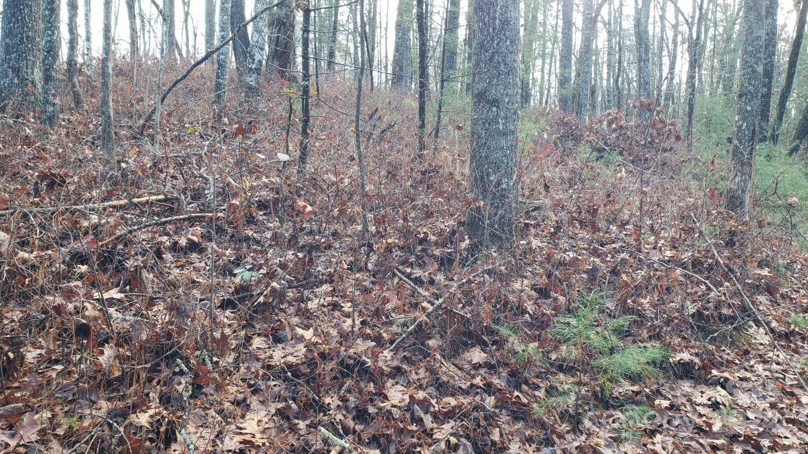 TBD Cedar LN, Brevard, NC 28712