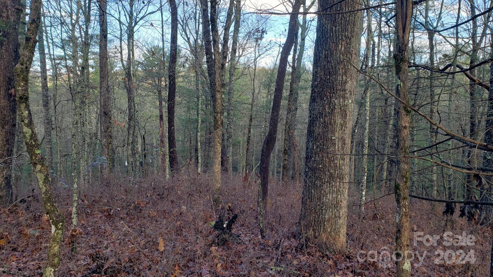 TBD Cedar LN, Brevard, NC 28712