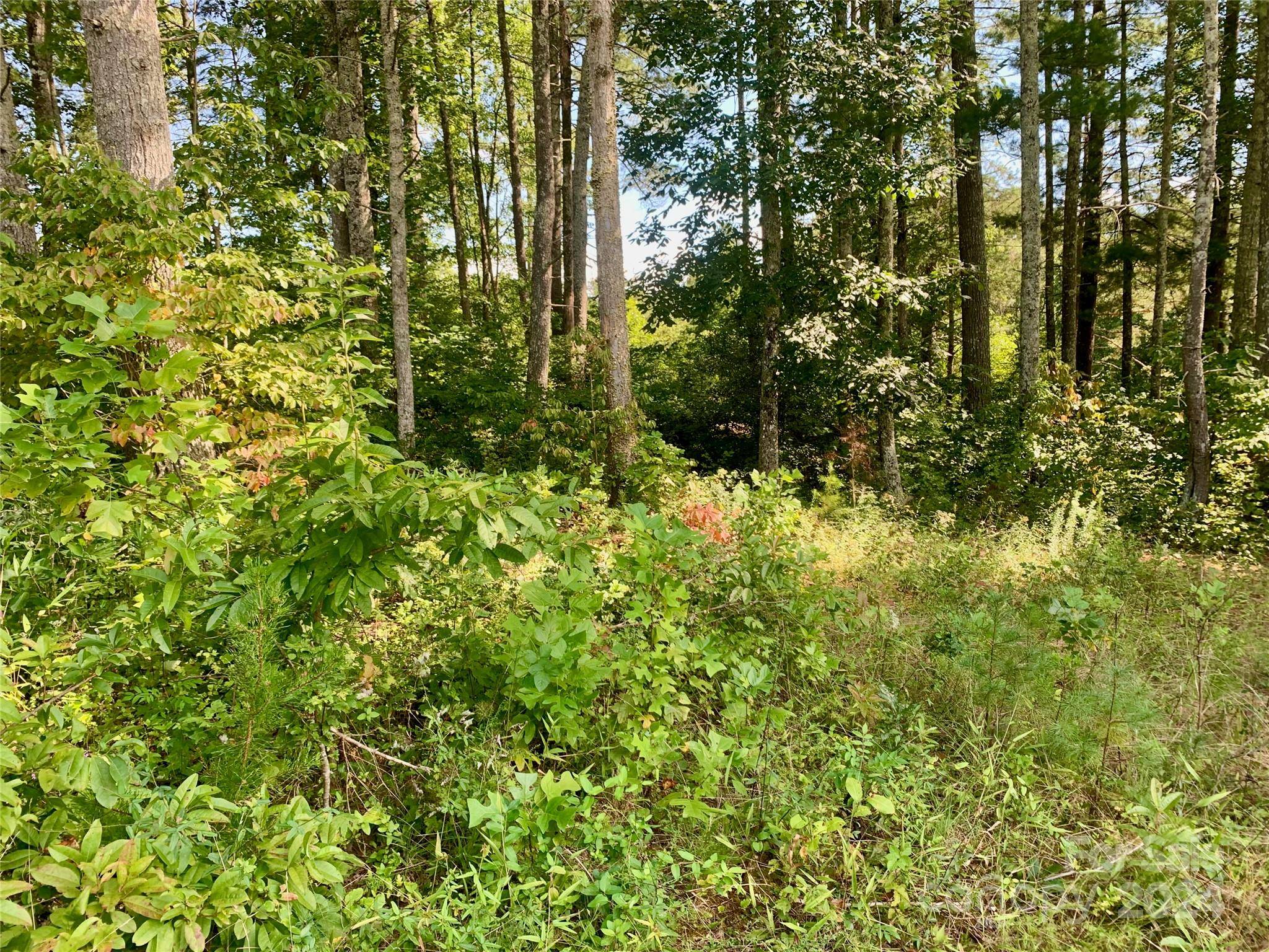 2.81 acres, 4098 Derbyshire LN #G32, Lenoir, NC 28645