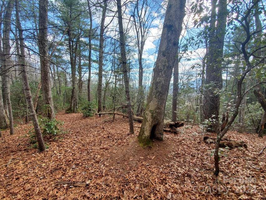 TBD Elkins RD #22, Bakersville, NC 28705