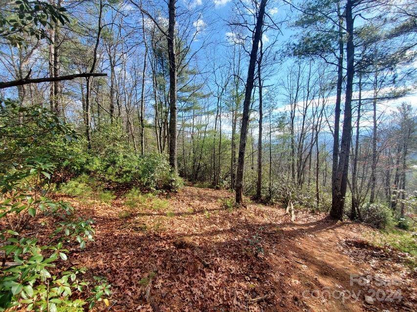 TBD Elkins RD #22, Bakersville, NC 28705