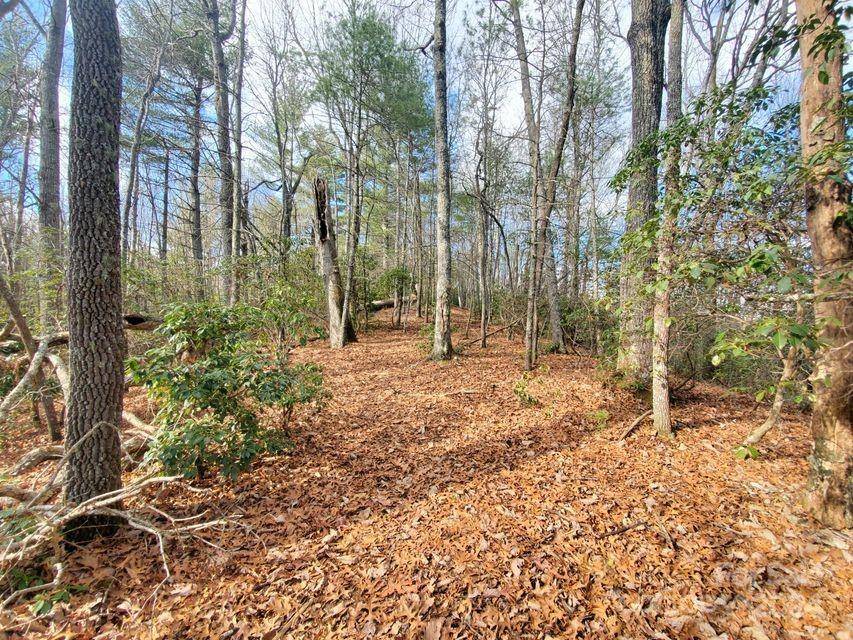 TBD Elkins RD #22, Bakersville, NC 28705