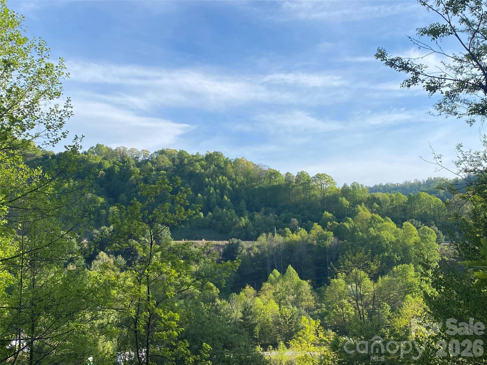 99999 US 23 HWY, Mars Hill, NC 28754