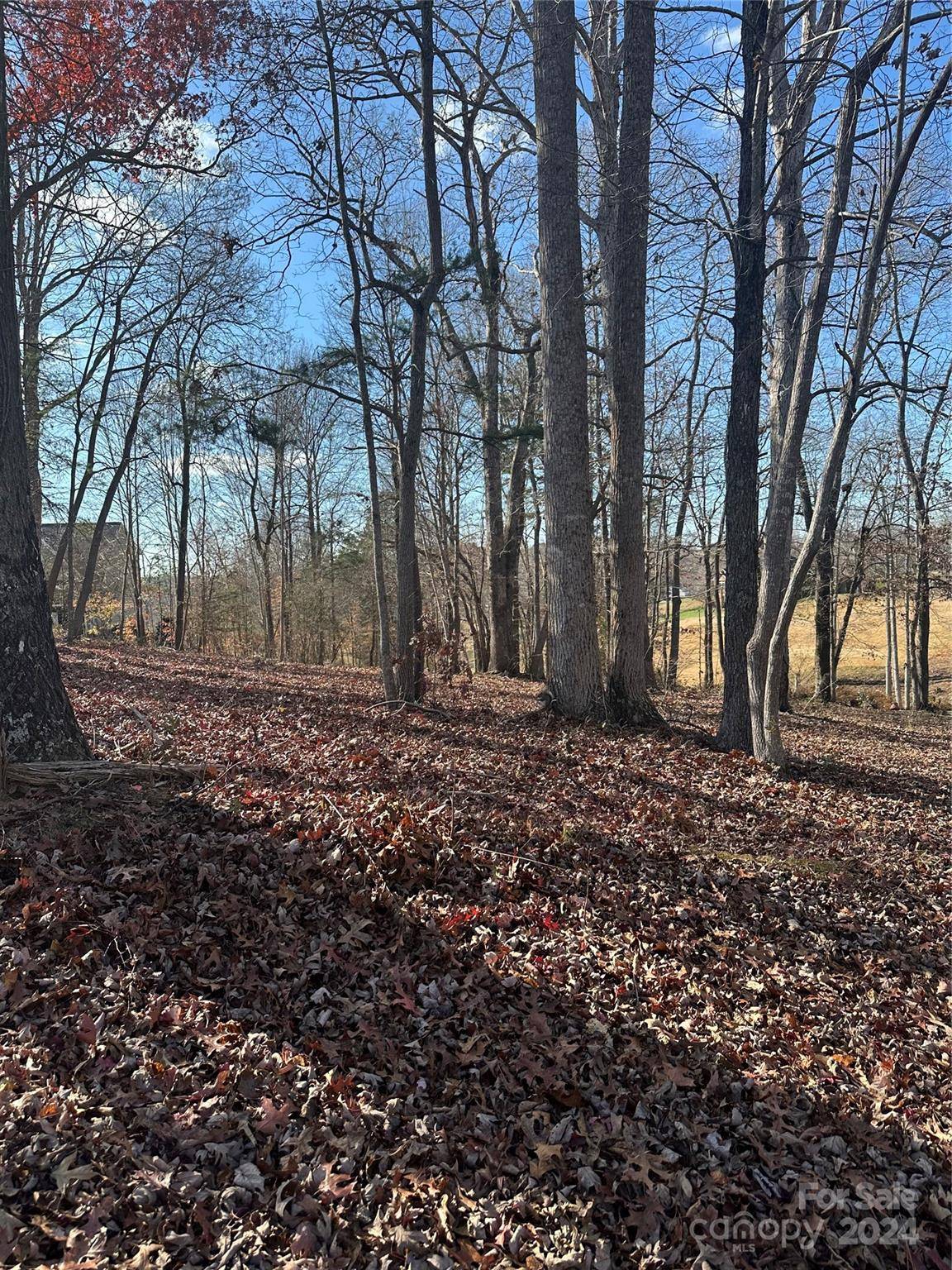 3712 Blankenship DR, Morganton, NC 28655