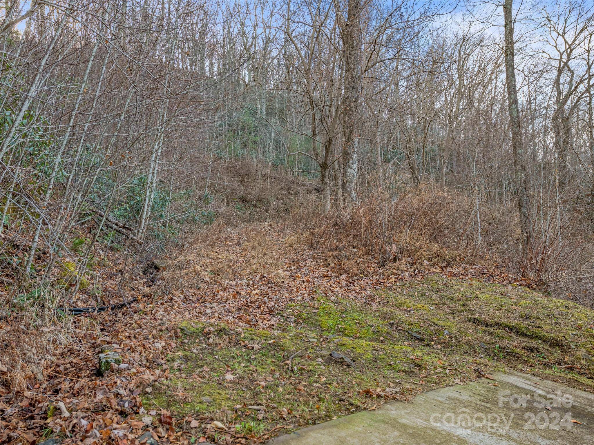 99999 Stonecrest DR #B, Asheville, NC 28803