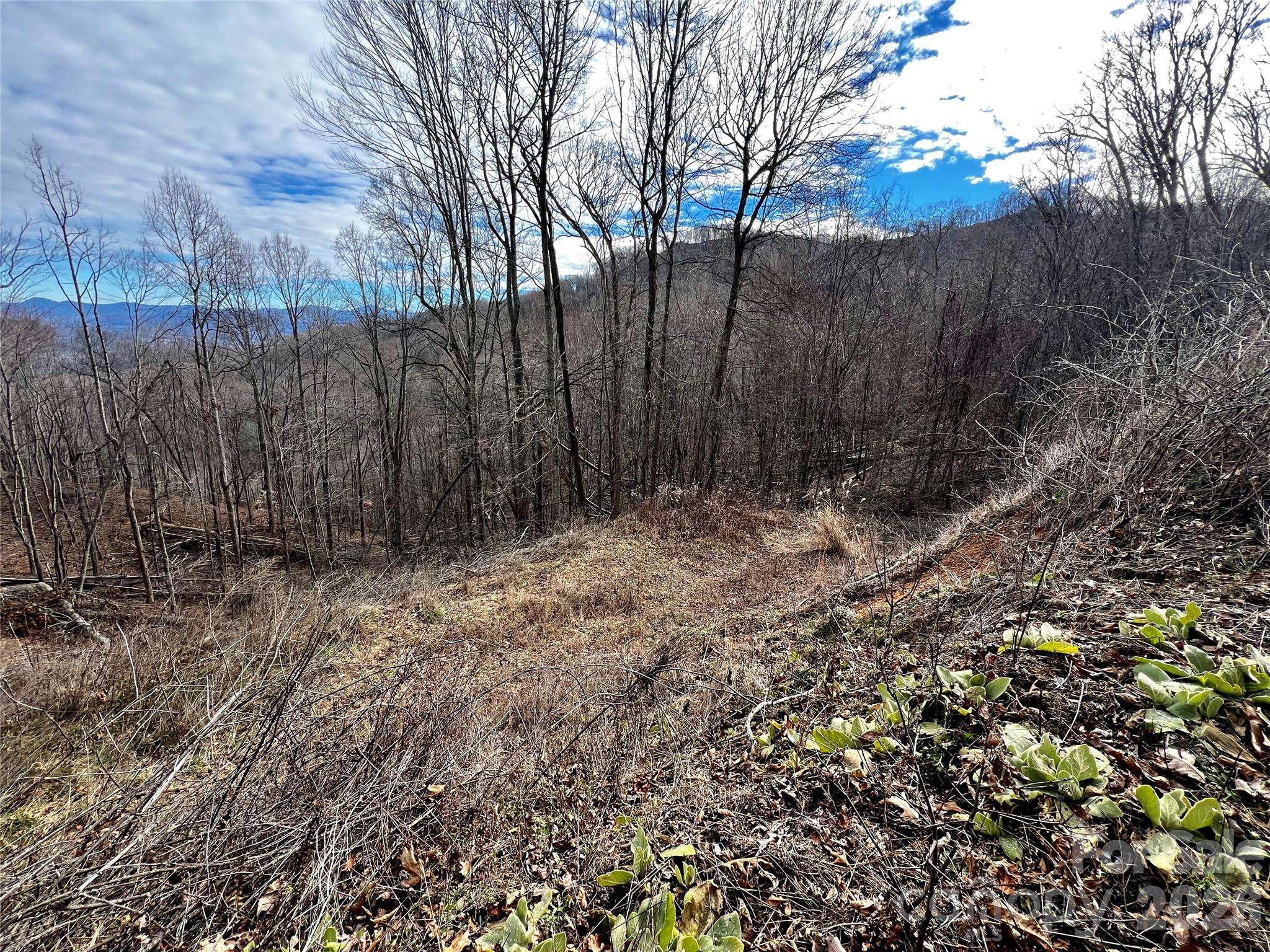 4 and 4b Salisbury CV, Waynesville, NC 28785