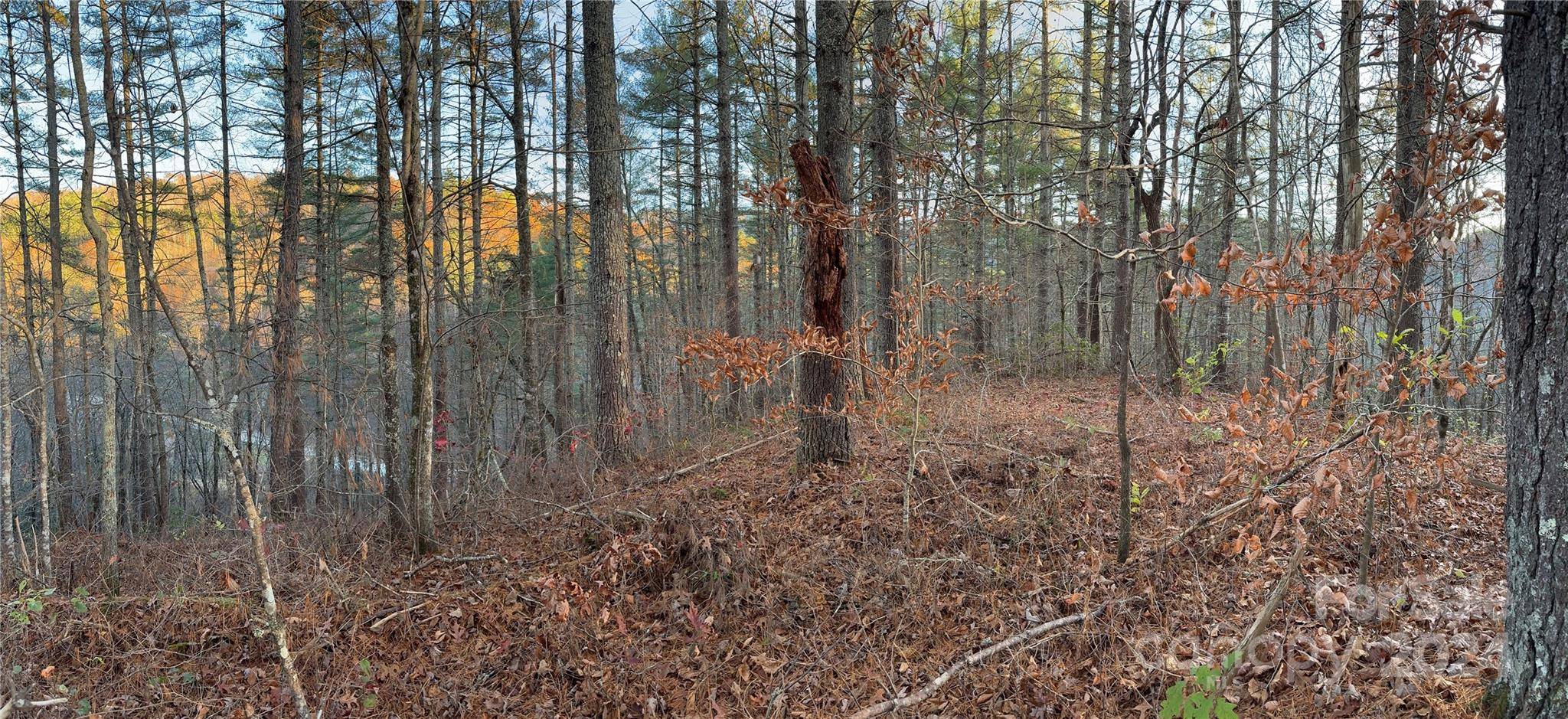 00 Sky Ridge DR, Bryson City, NC 28713