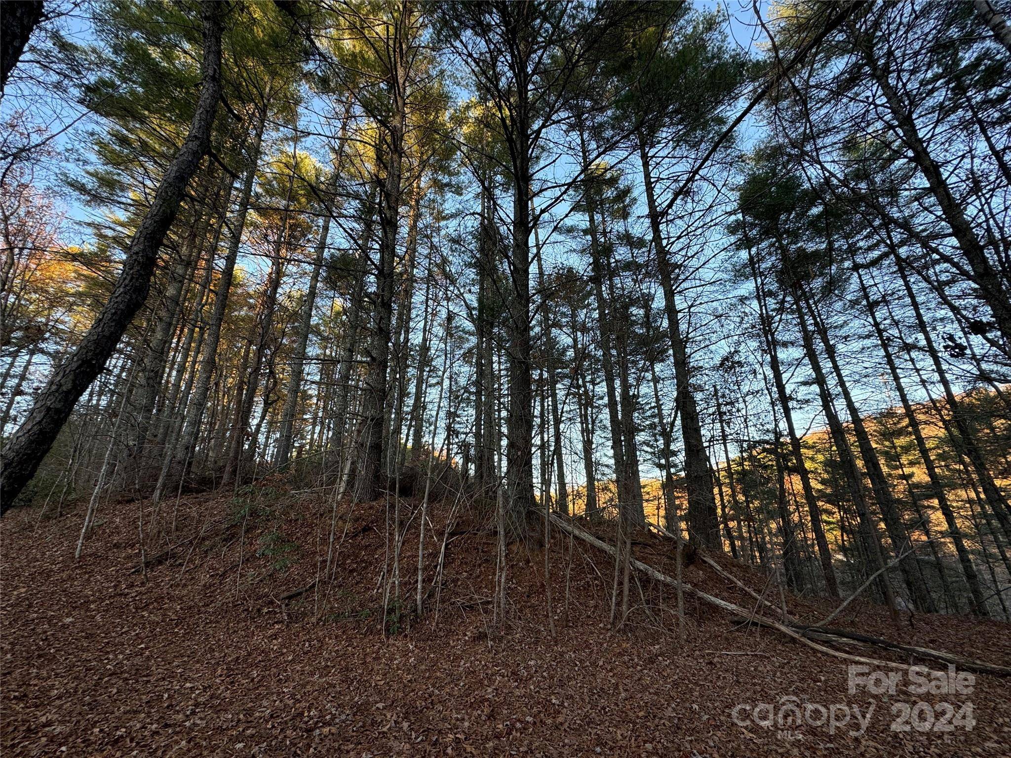 00 Sky Ridge DR, Bryson City, NC 28713
