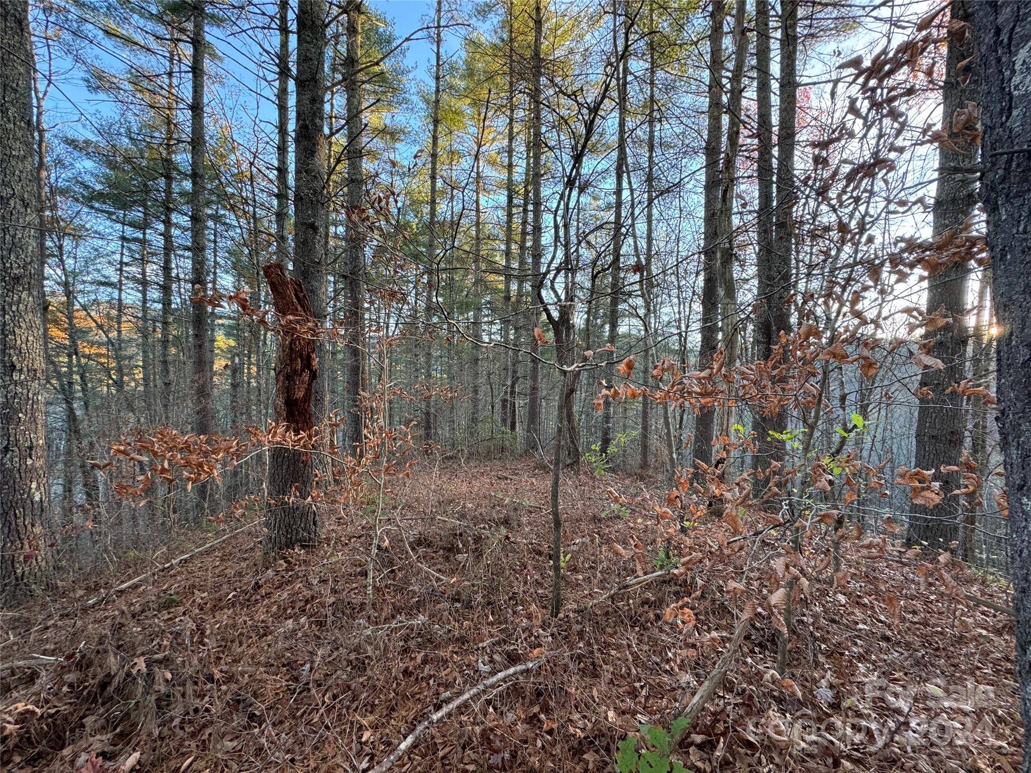 00 Sky Ridge DR, Bryson City, NC 28713