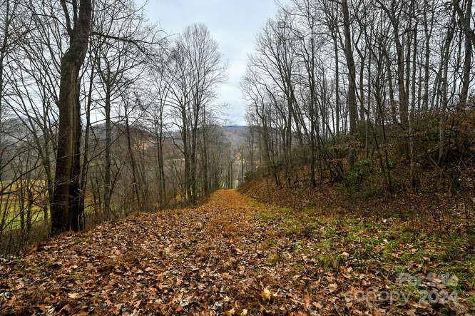 19 Flowing Hills DR #19, 20, Clyde, NC 28721