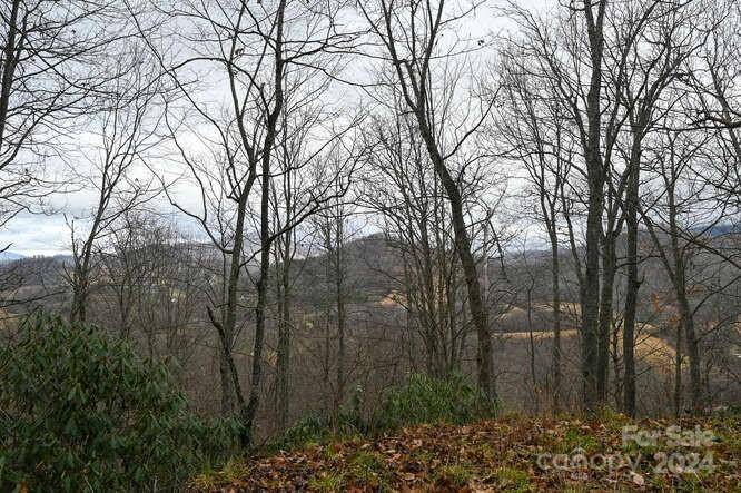 19 Flowing Hills DR #19, 20, Clyde, NC 28721
