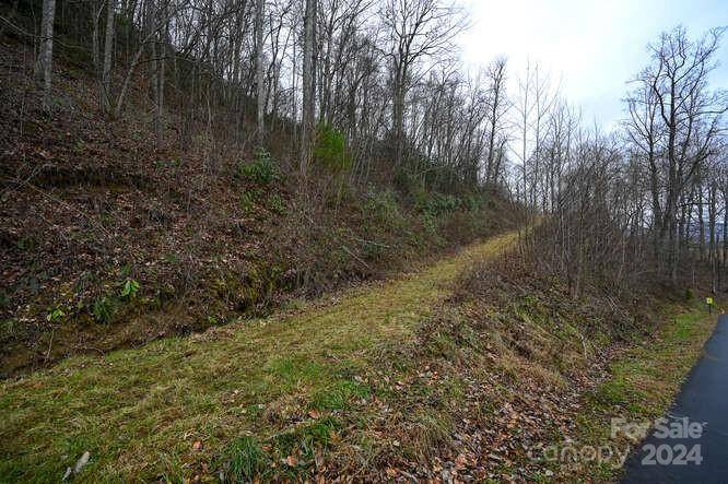 19 Flowing Hills DR #19, 20, Clyde, NC 28721