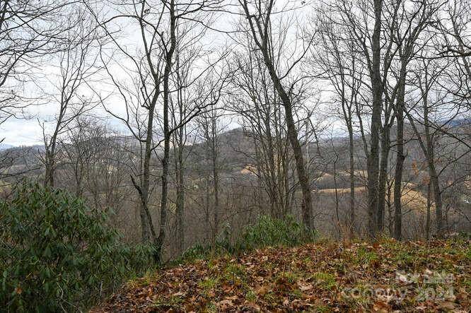 19 Flowing Hills DR #19, 20, Clyde, NC 28721