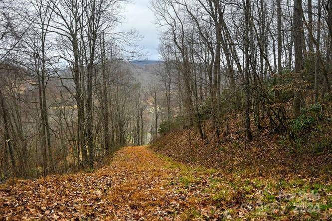 19 Flowing Hills DR #19, 20, Clyde, NC 28721