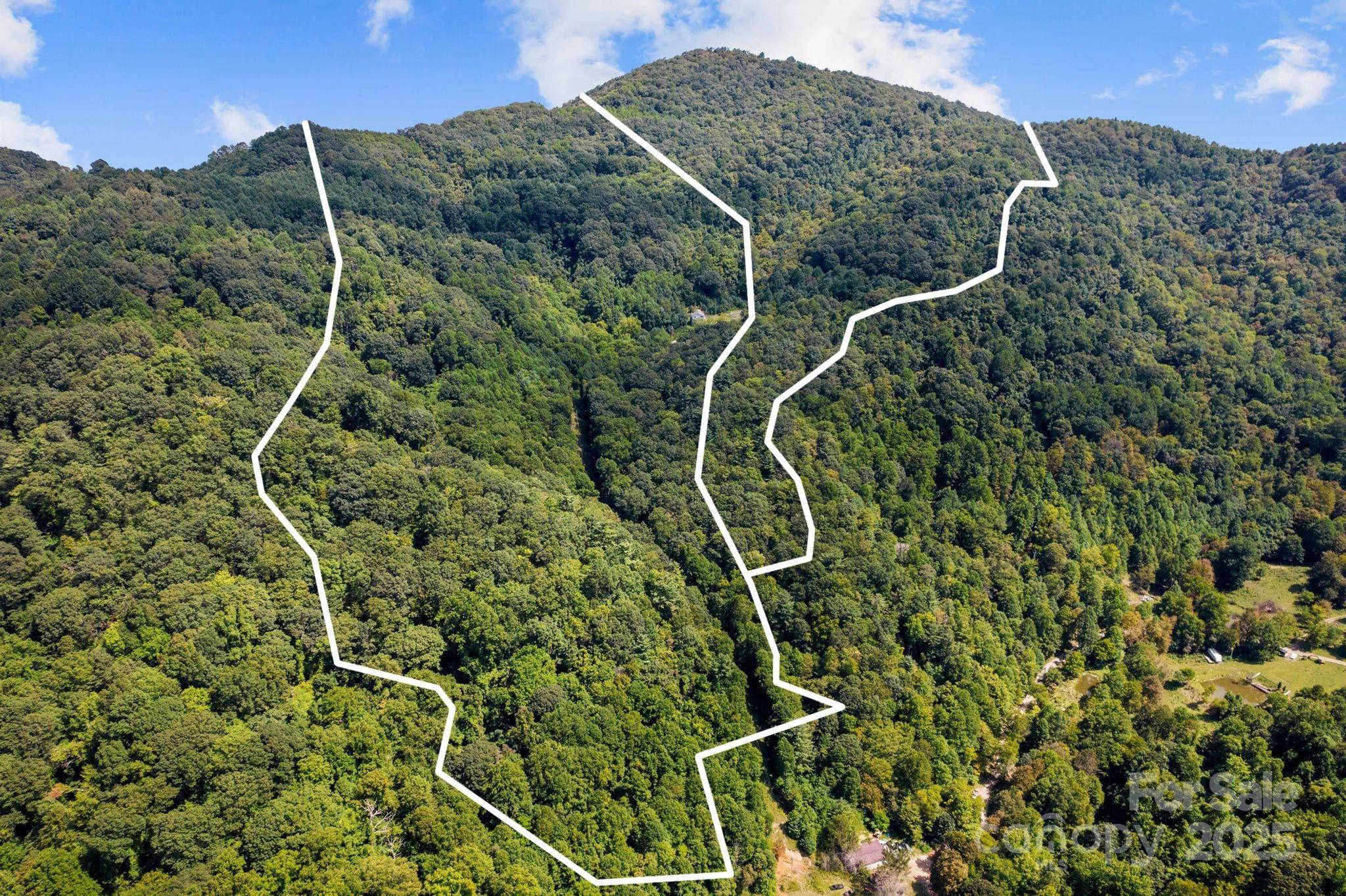 505 Old Home Place DR, Marshall, NC 28753