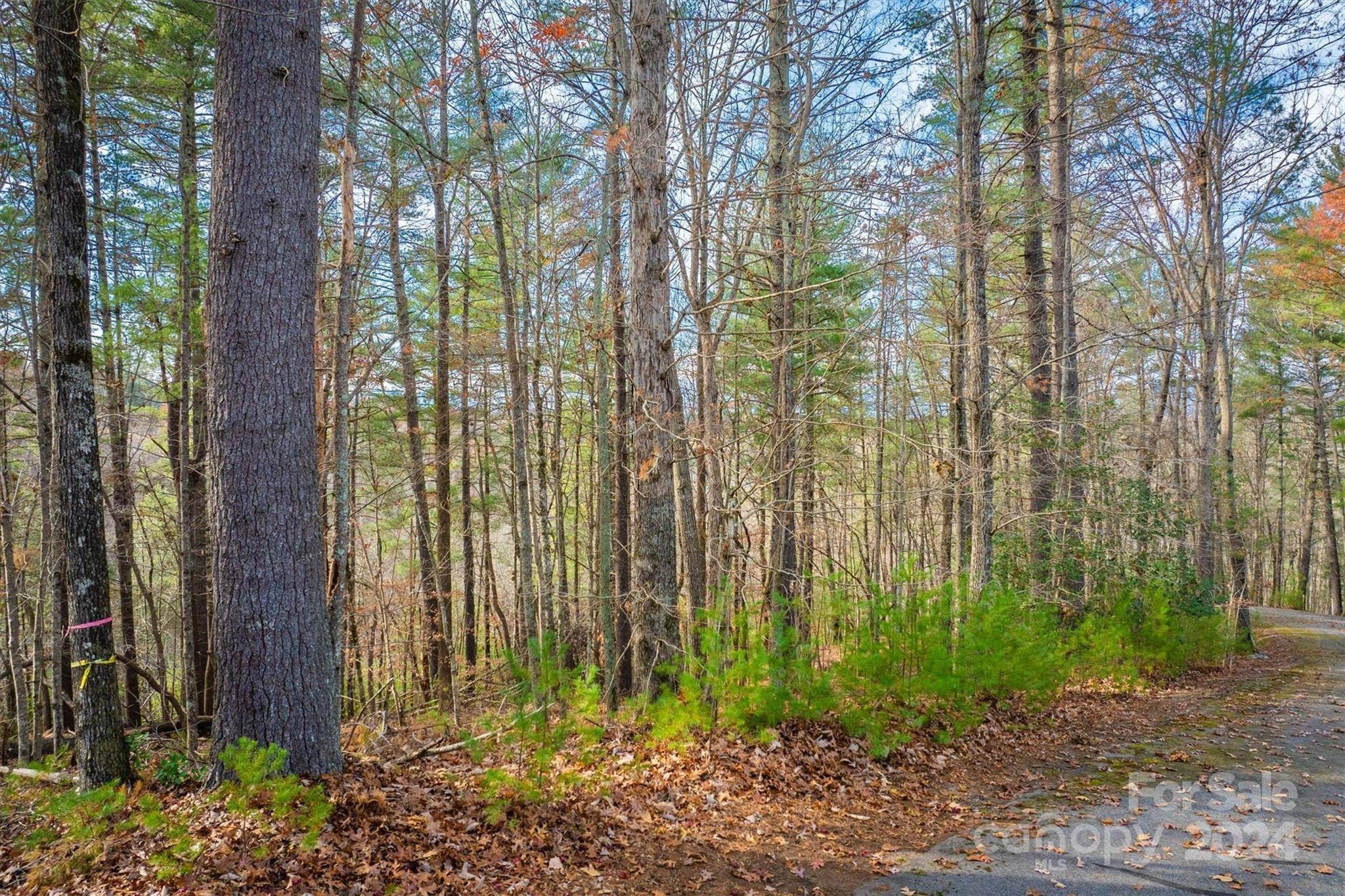 133 James Bob Stafford DR, Nebo, NC 28601