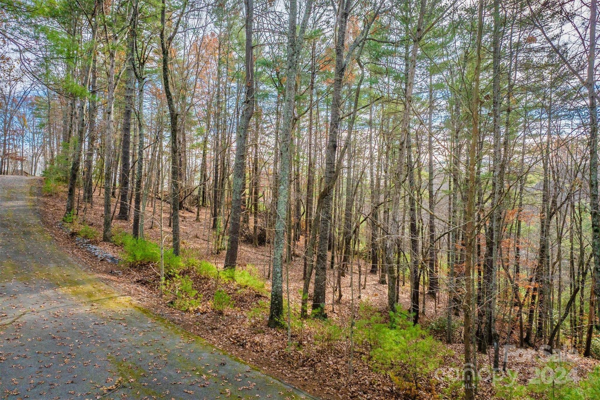 133 James Bob Stafford DR, Nebo, NC 28601