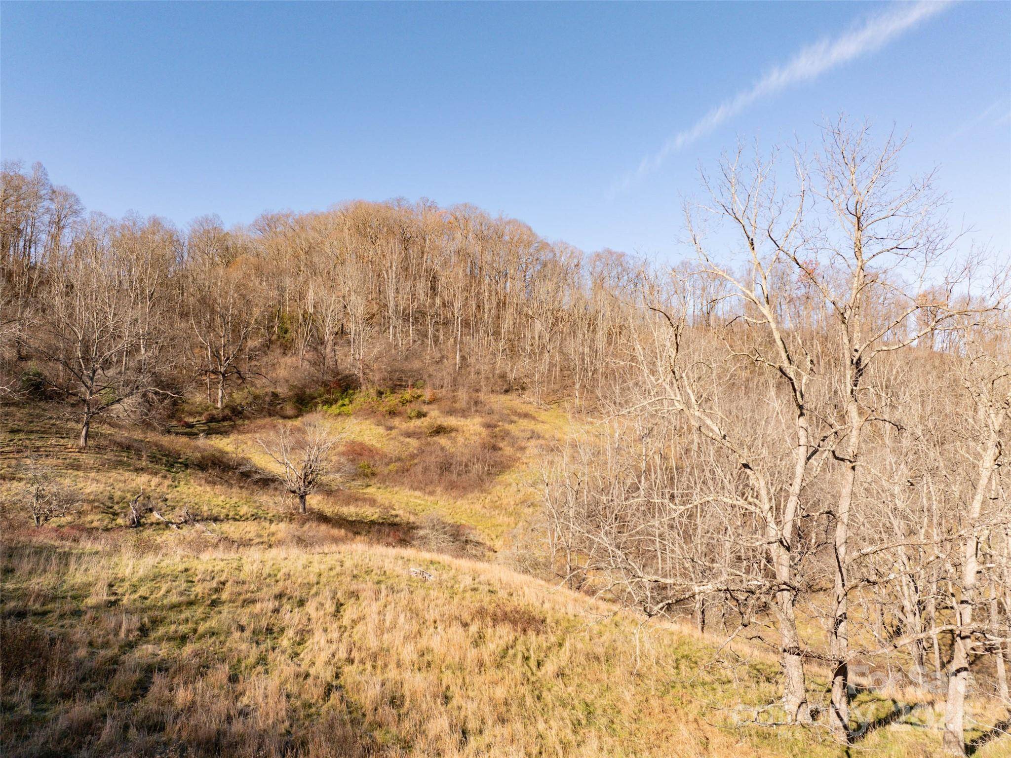 TBD Belmont DR, Clyde, NC 28721