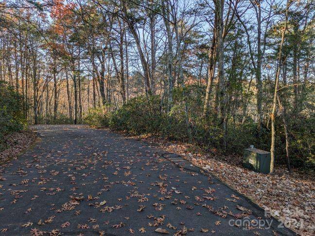 Lot 59 & 60 Willow LN, Columbus, NC 28722