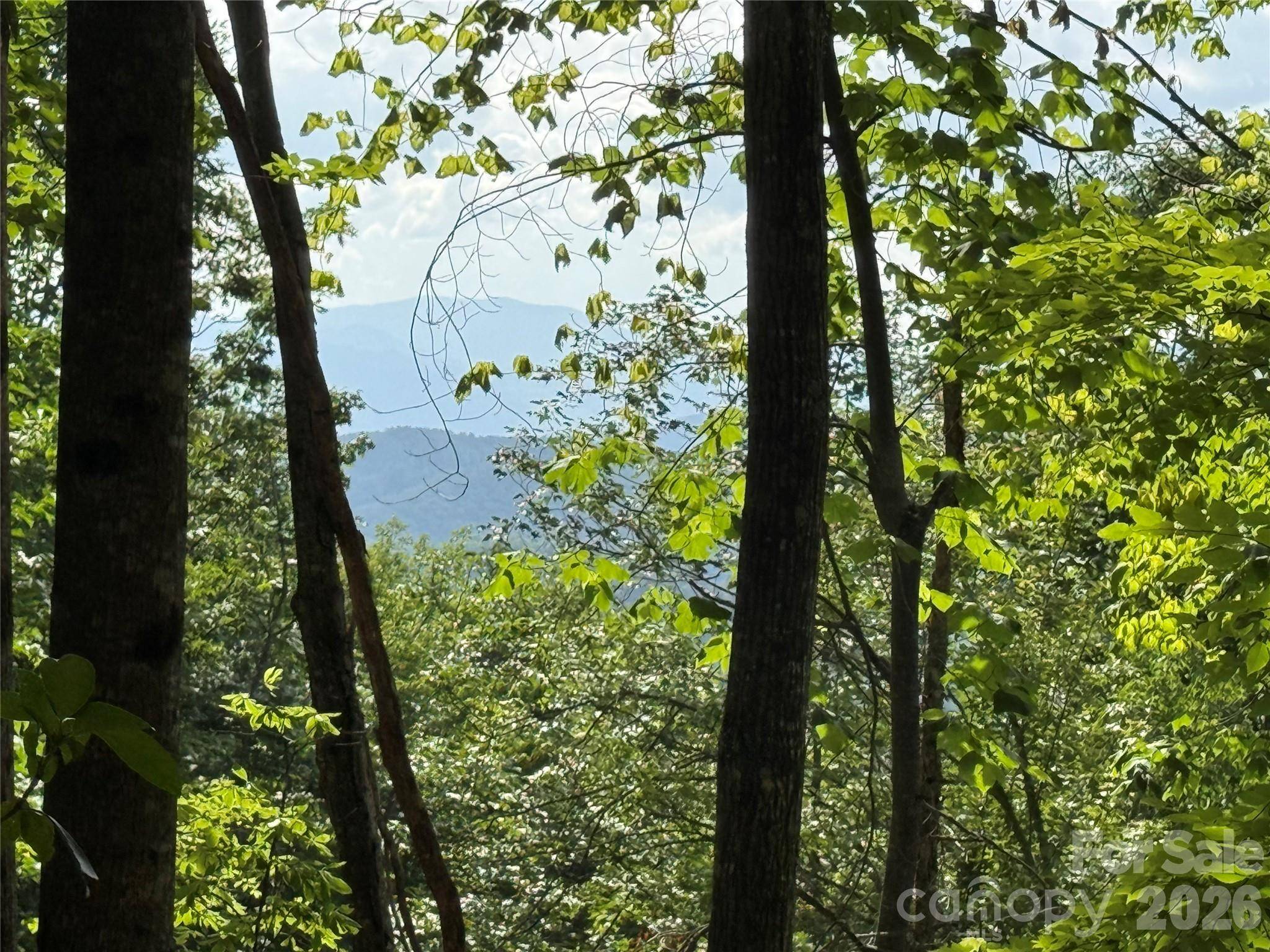 146 E Clubhouse RD #99, Sylva, NC 28779