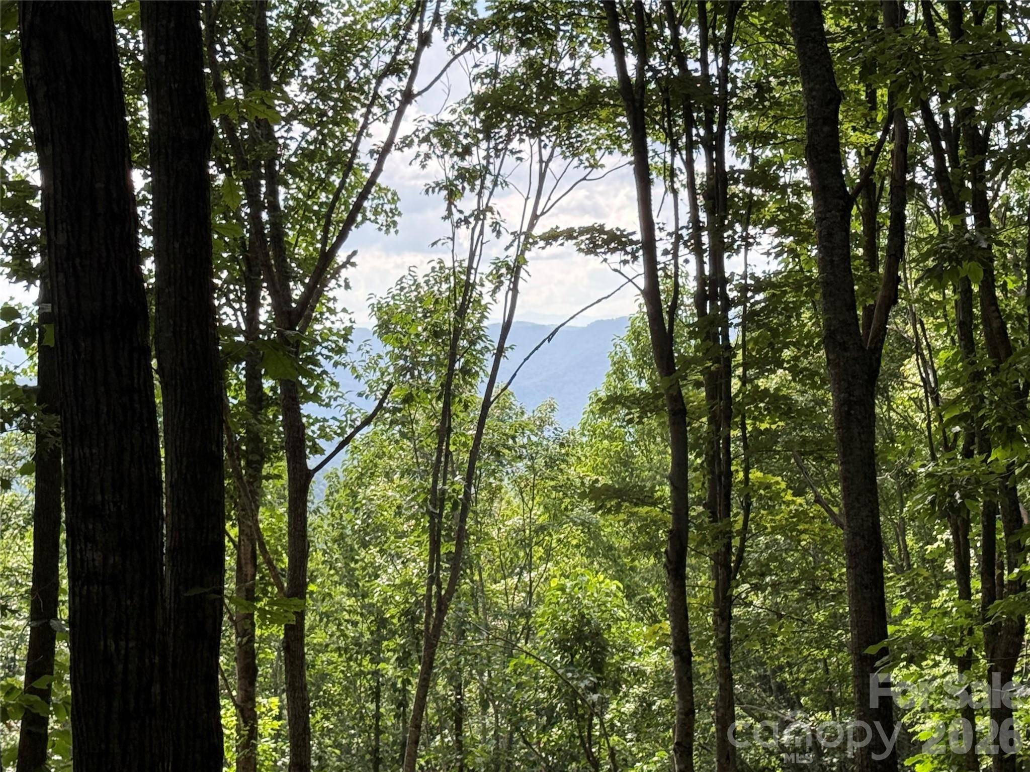 146 E Clubhouse RD #99, Sylva, NC 28779