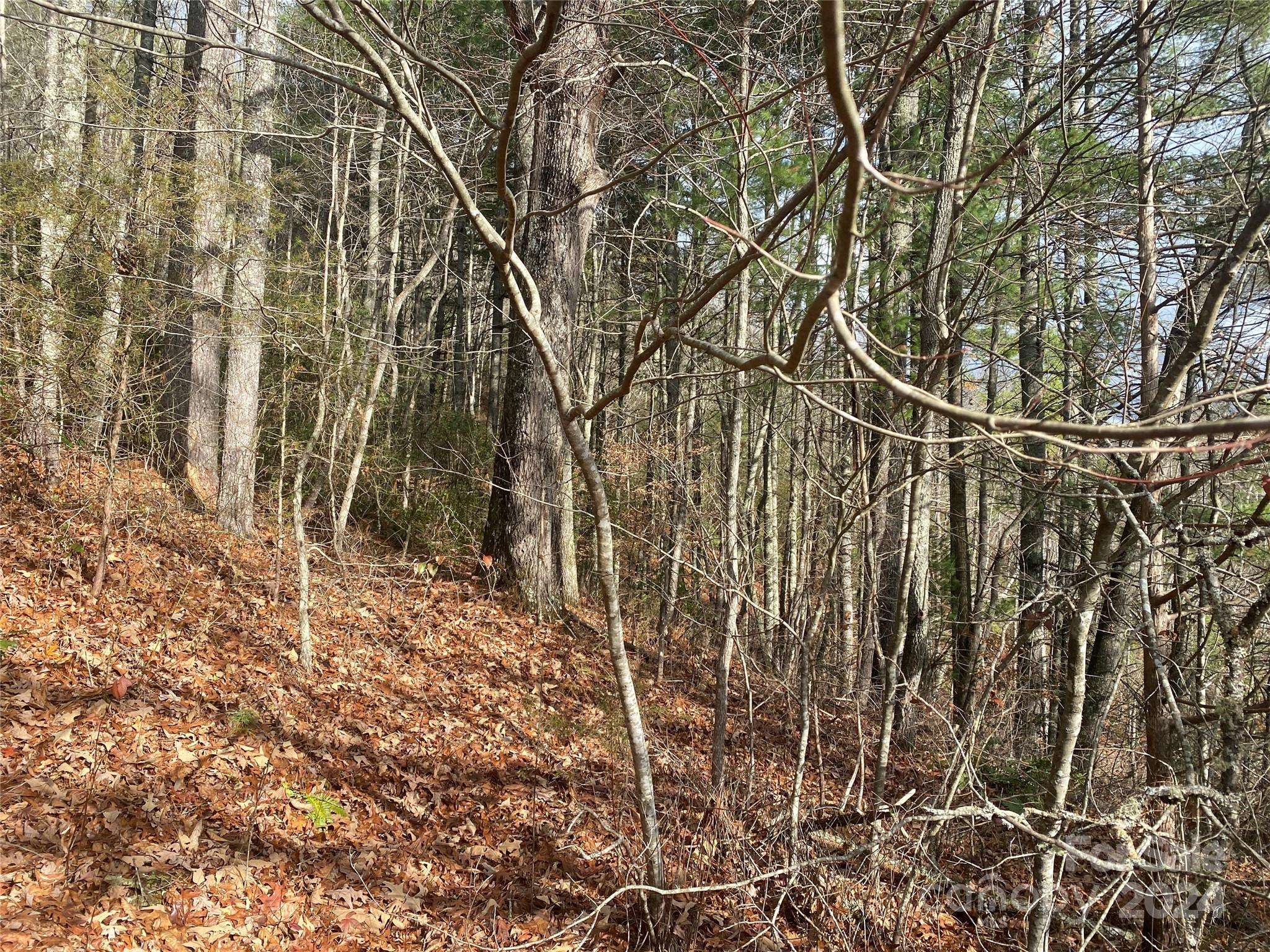 0 Gospel DR, Sylva, NC 28779