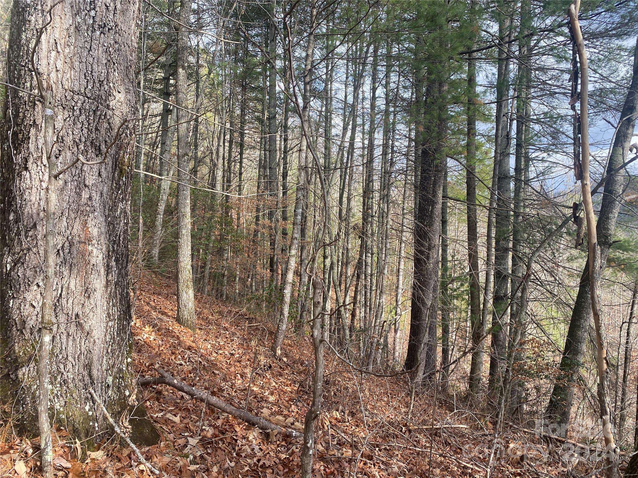 0 Gospel DR, Sylva, NC 28779