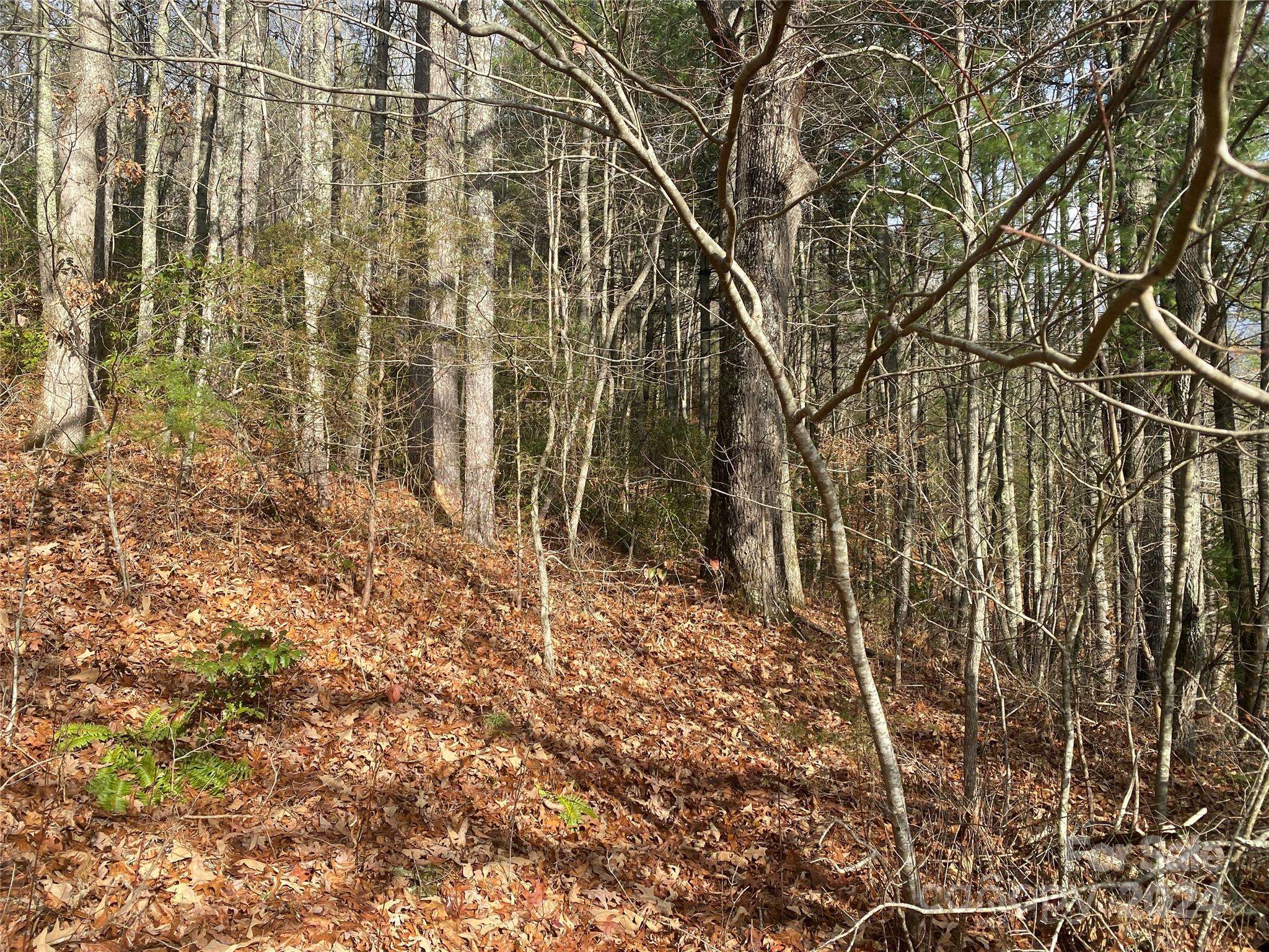 0 Gospel DR, Sylva, NC 28779
