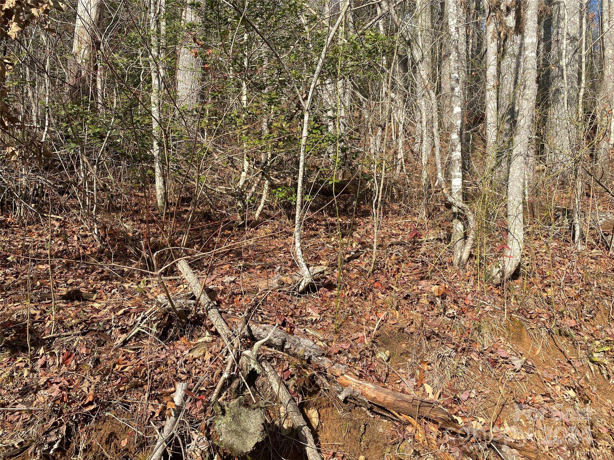 0 Gospel DR, Sylva, NC 28779