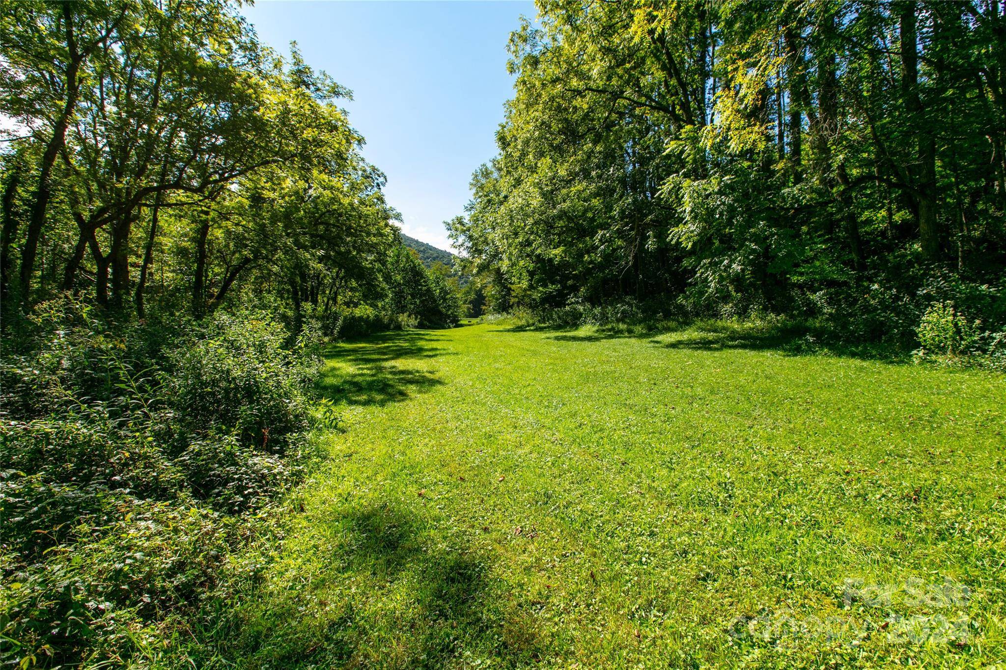 00000 Scout TRL #14, Canton, NC 28716