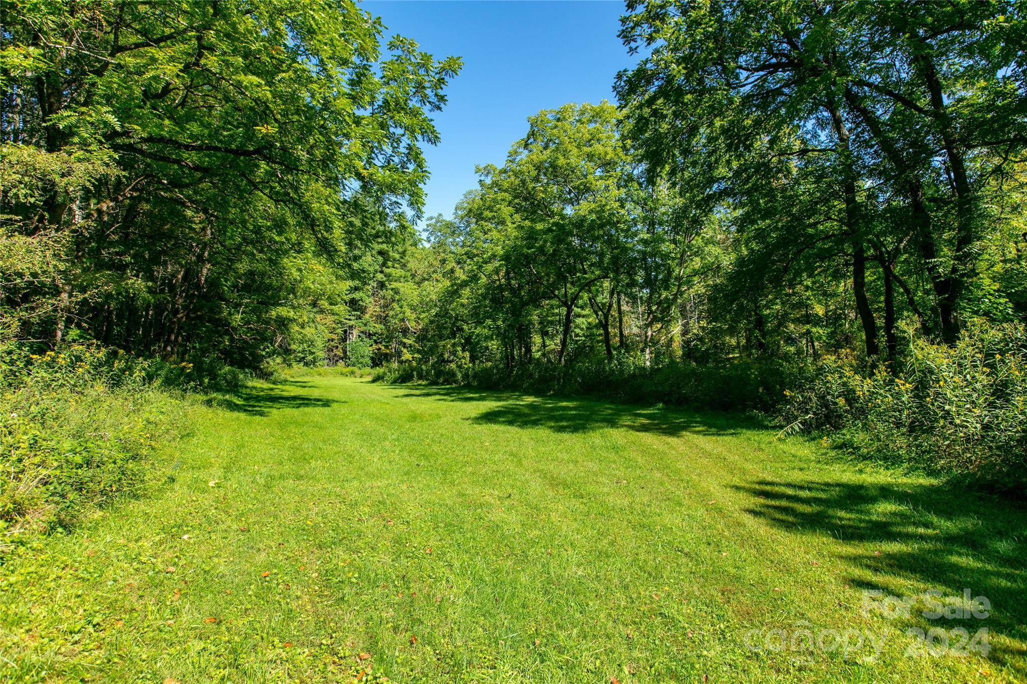 00000 Scout TRL #14, Canton, NC 28716