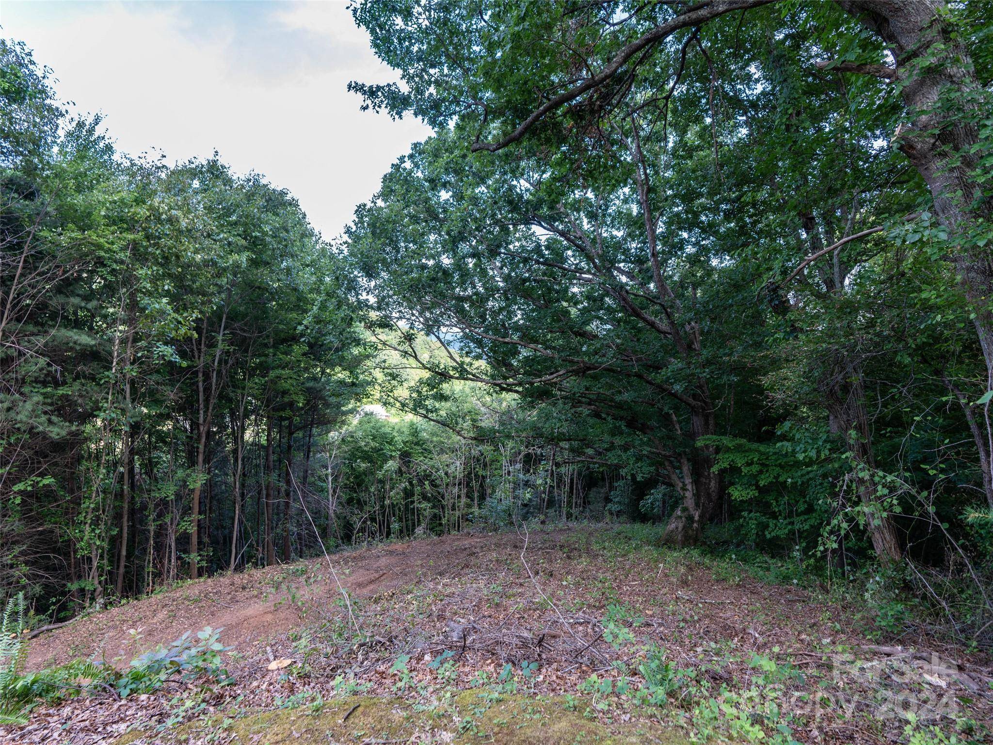 TBD Rimesdale WAY, Waynesville, NC 28785