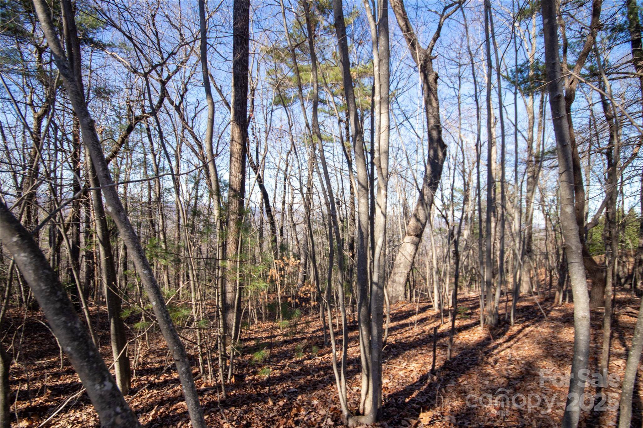 2206 Nighthawk Ridge CT #27, Lenoir, NC 28645
