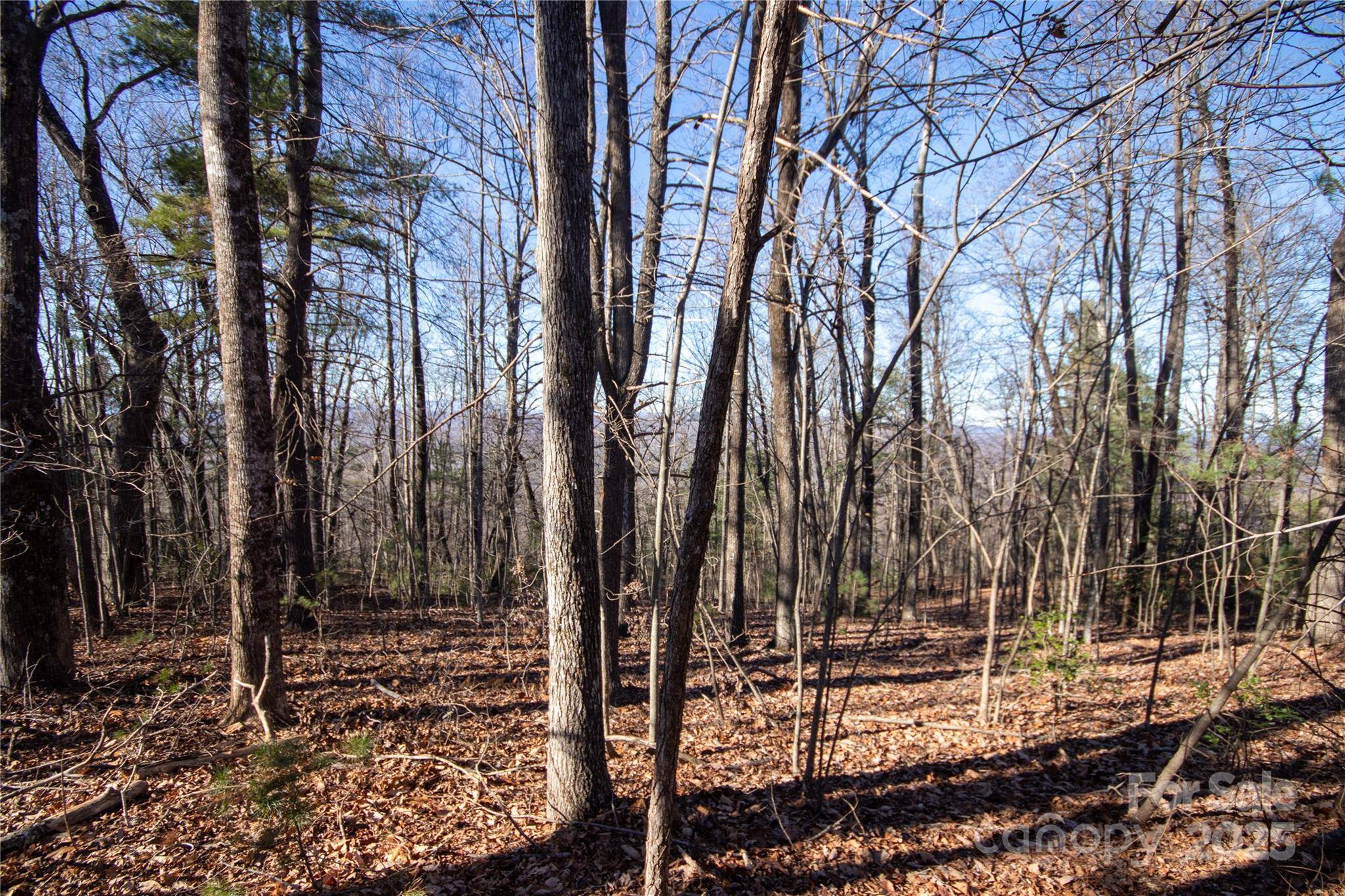 2206 Nighthawk Ridge CT #27, Lenoir, NC 28645