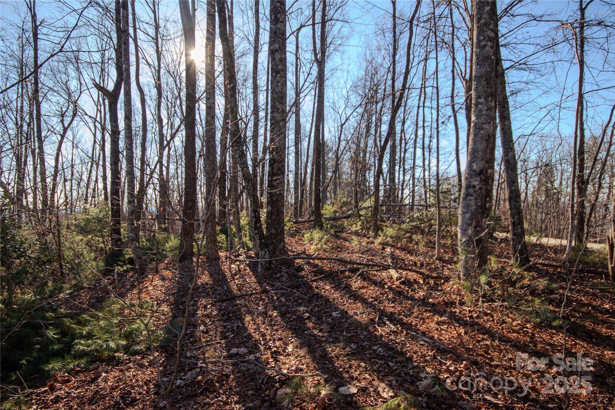 2209 Nighthawk Ridge CT #23, Lenoir, NC 28645