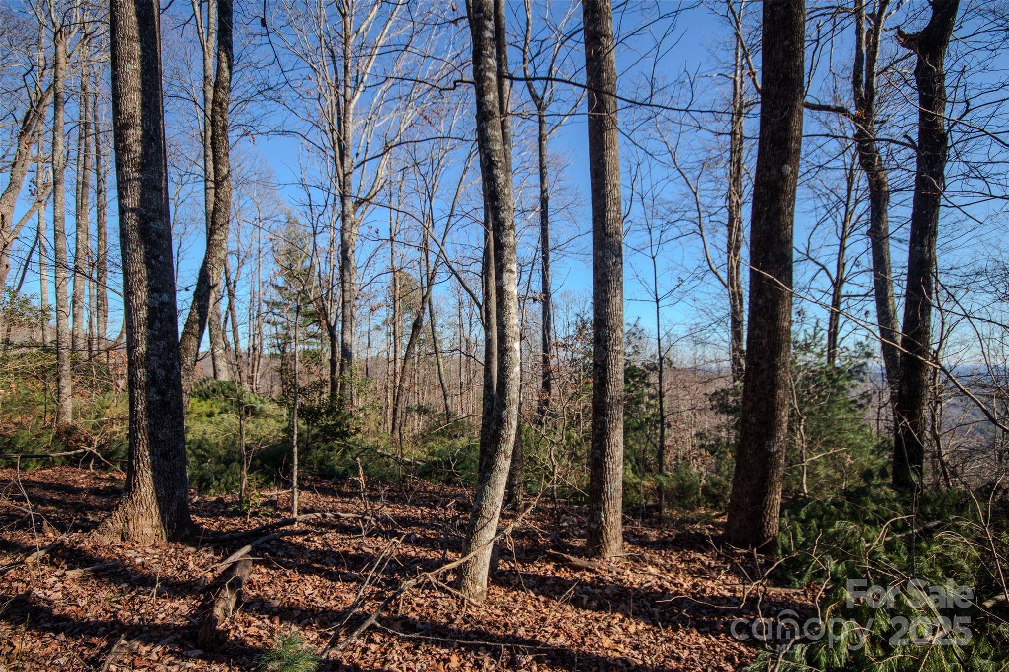 2209 Nighthawk Ridge CT #23, Lenoir, NC 28645