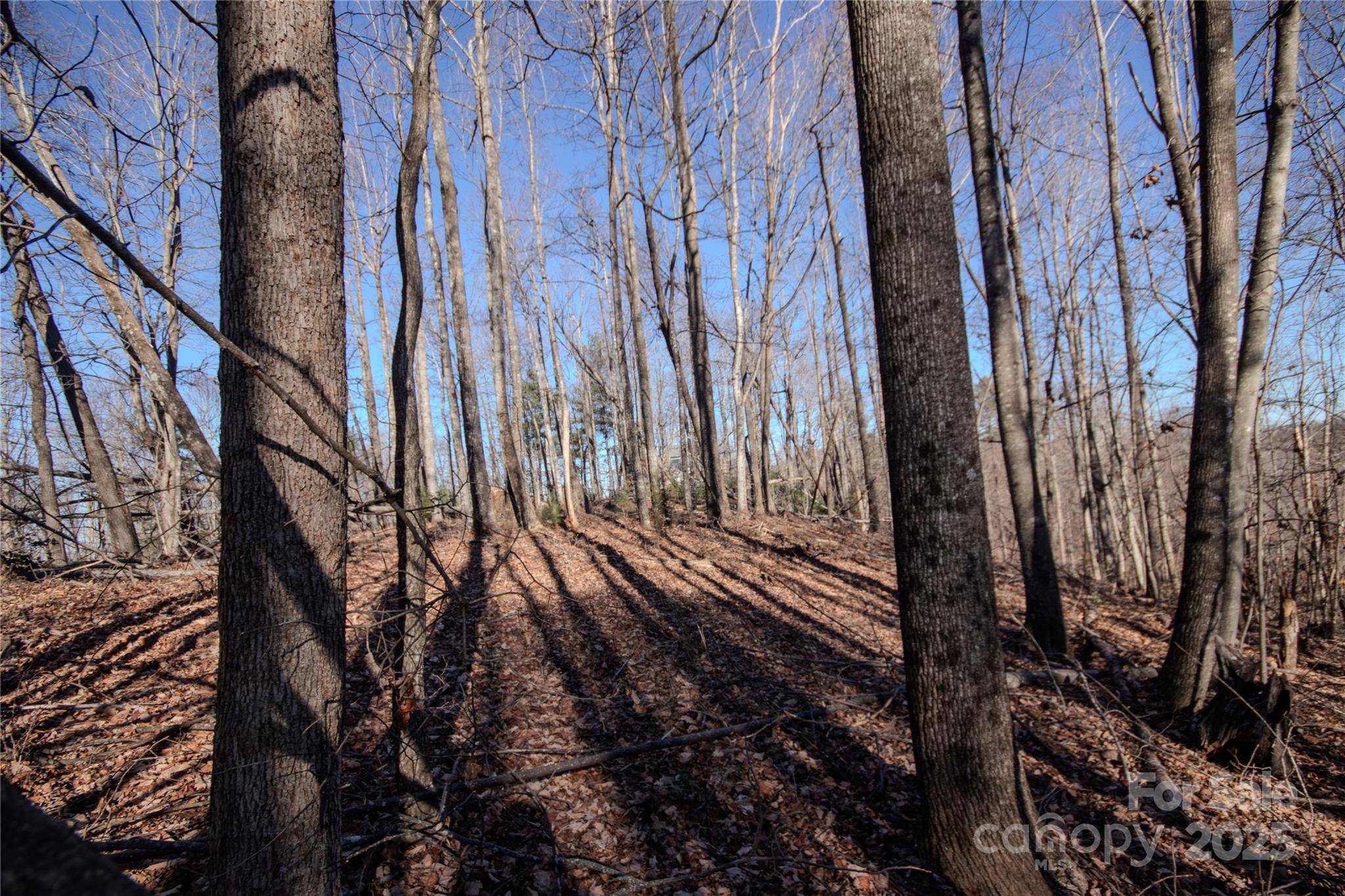 2211 Nighthawk Ridge CT #22, Lenoir, NC 28645