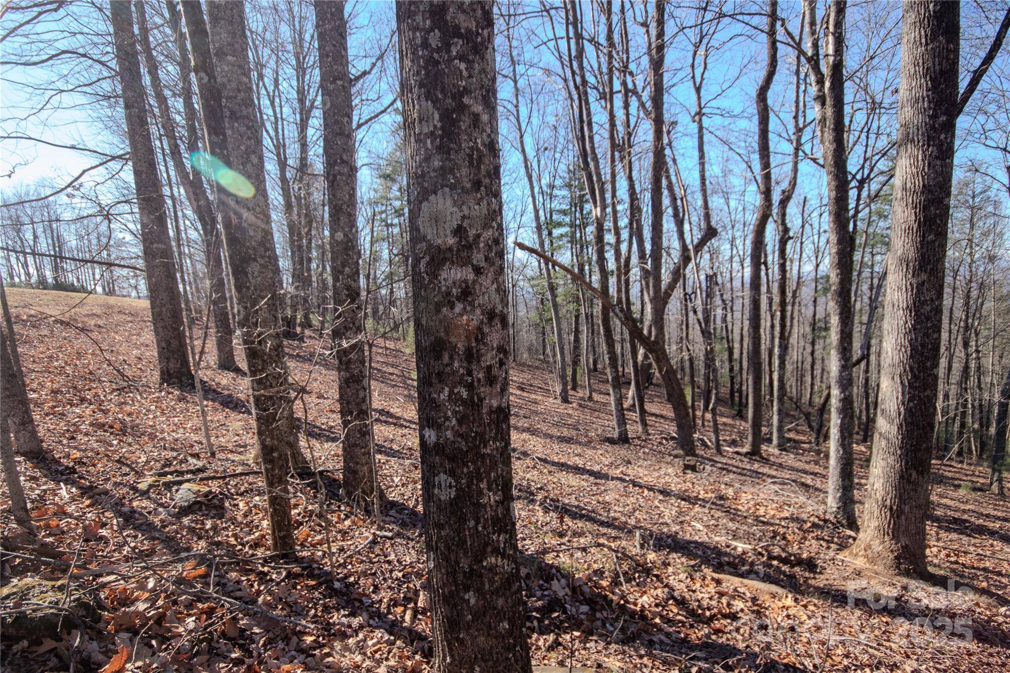 2212 Nighthawk Ridge CT #29, Lenoir, NC 28645