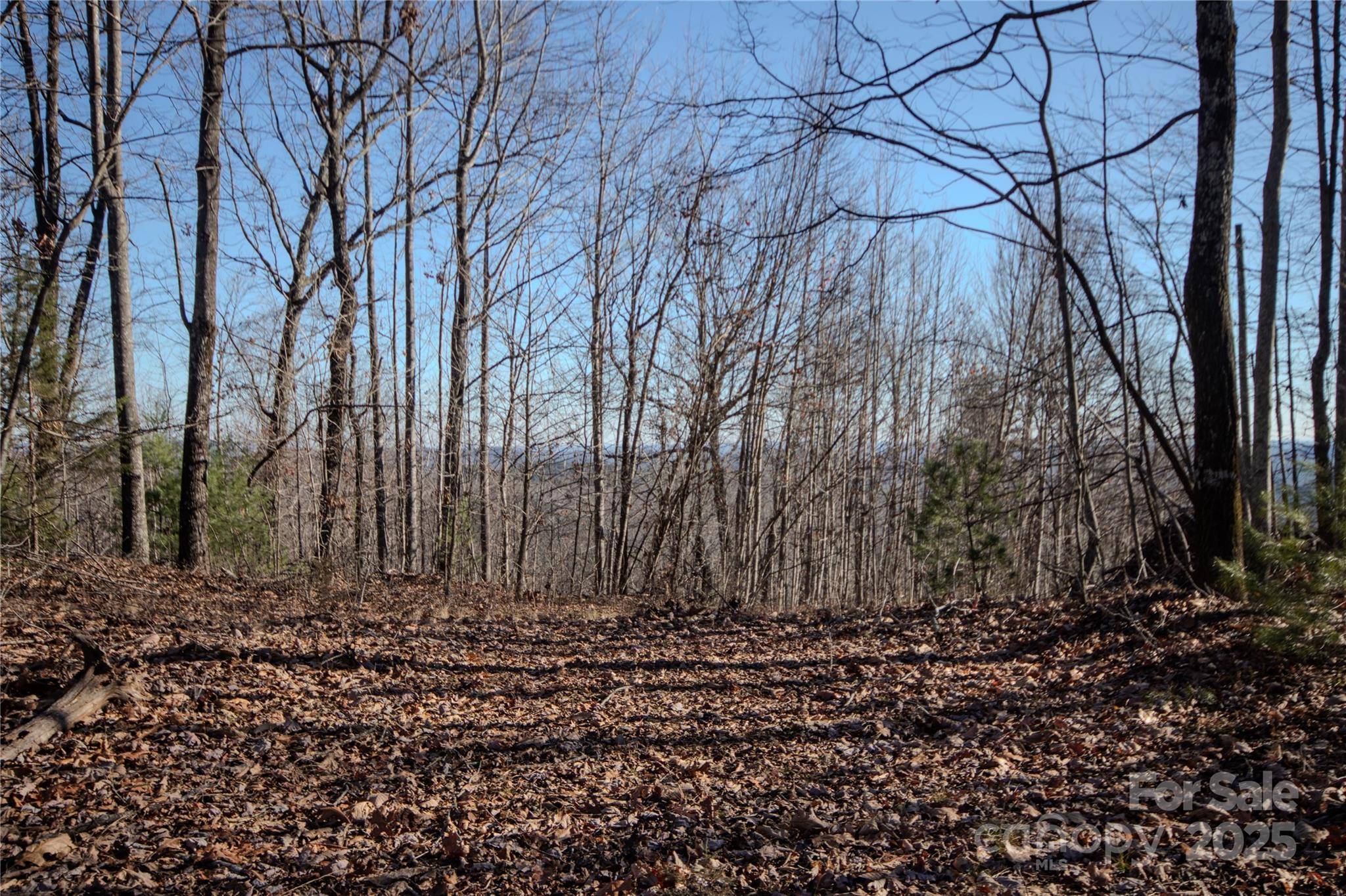 2215 Nighthawk Ridge CT #21, Lenoir, NC 28645
