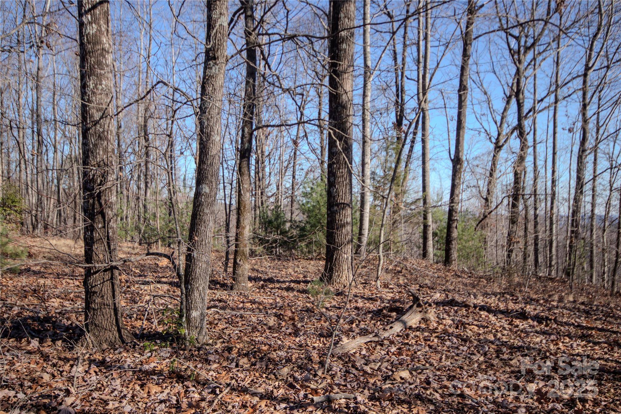 2215 Nighthawk Ridge CT #21, Lenoir, NC 28645